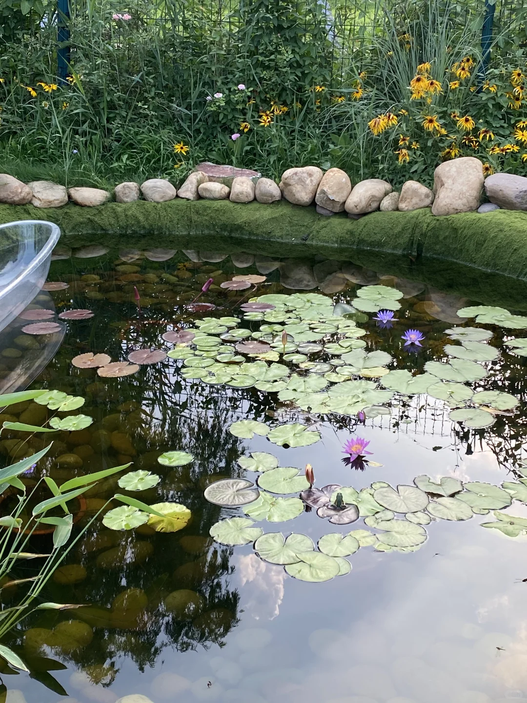 右划看臭水沟变身梦幻仙境