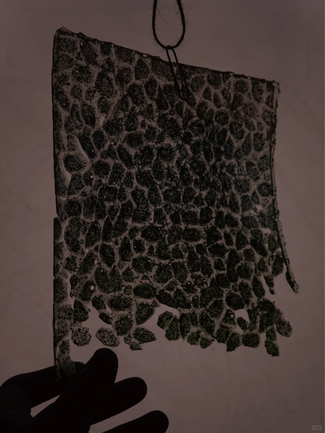 A-LIST｜材料实验室Vol.2 蛋壳生物皮革