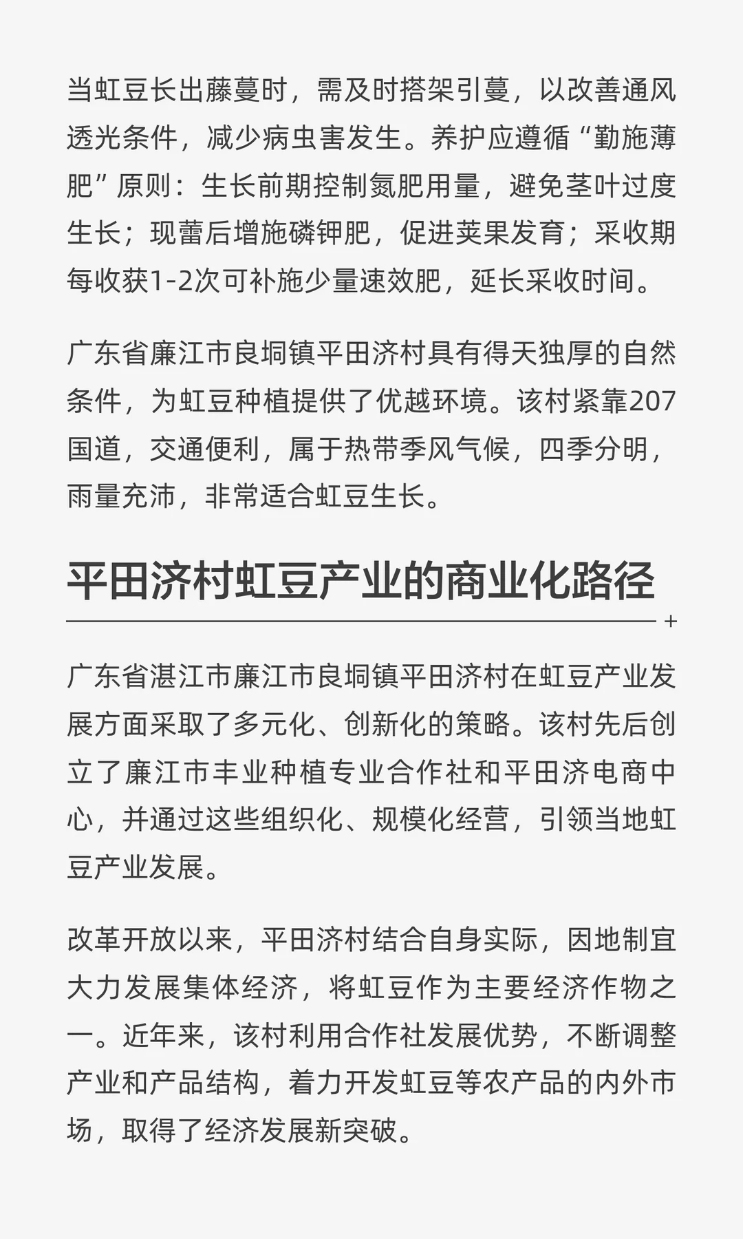 廉江平田济村虹豆颇具商业价值，完整产业链