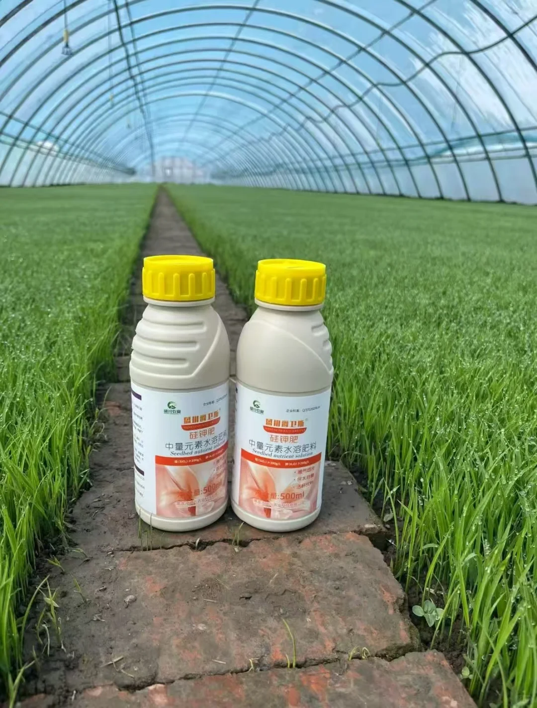 00后大学生，把爸妈的农资店干出了新花样！