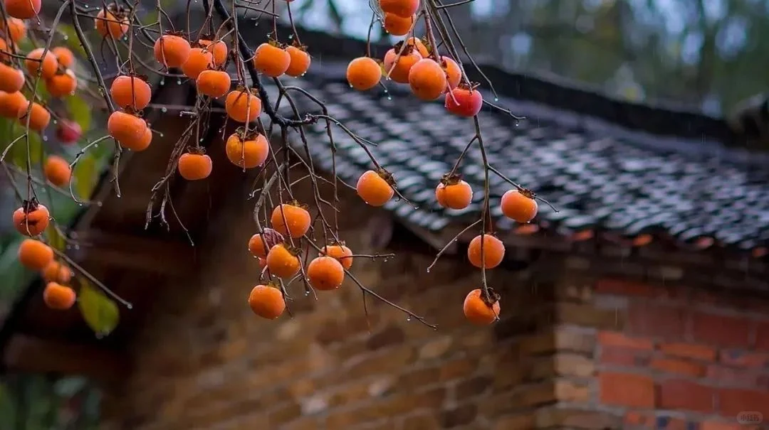 可食用性景观植物