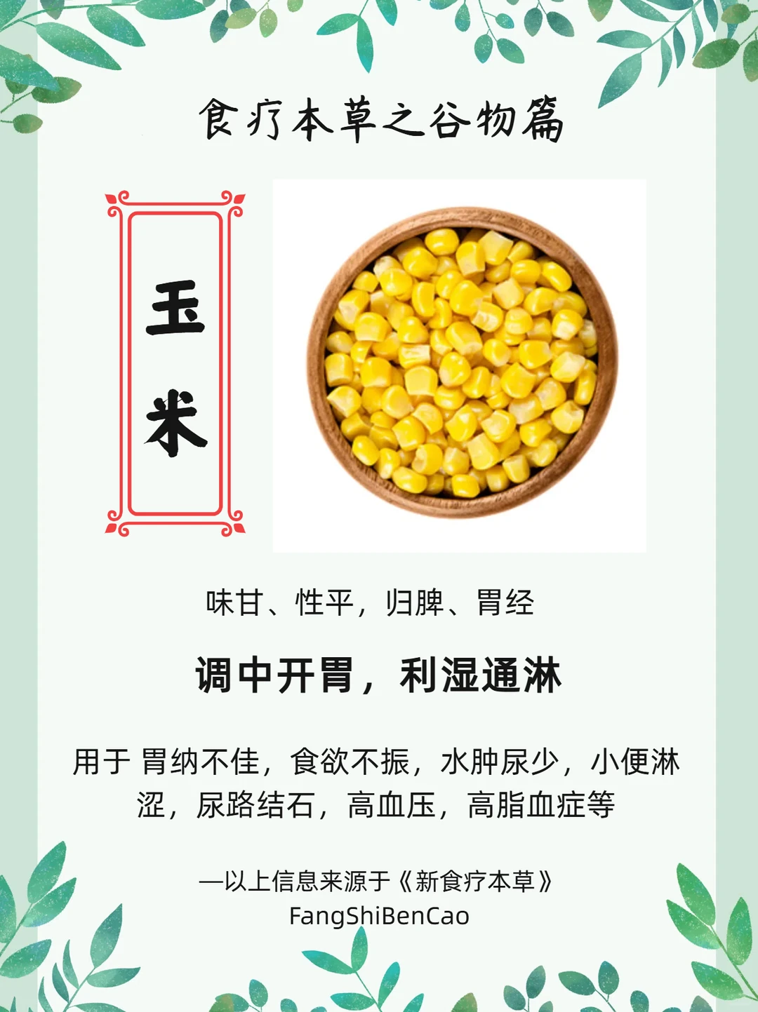 食疗本草之谷物篇【玉米】
