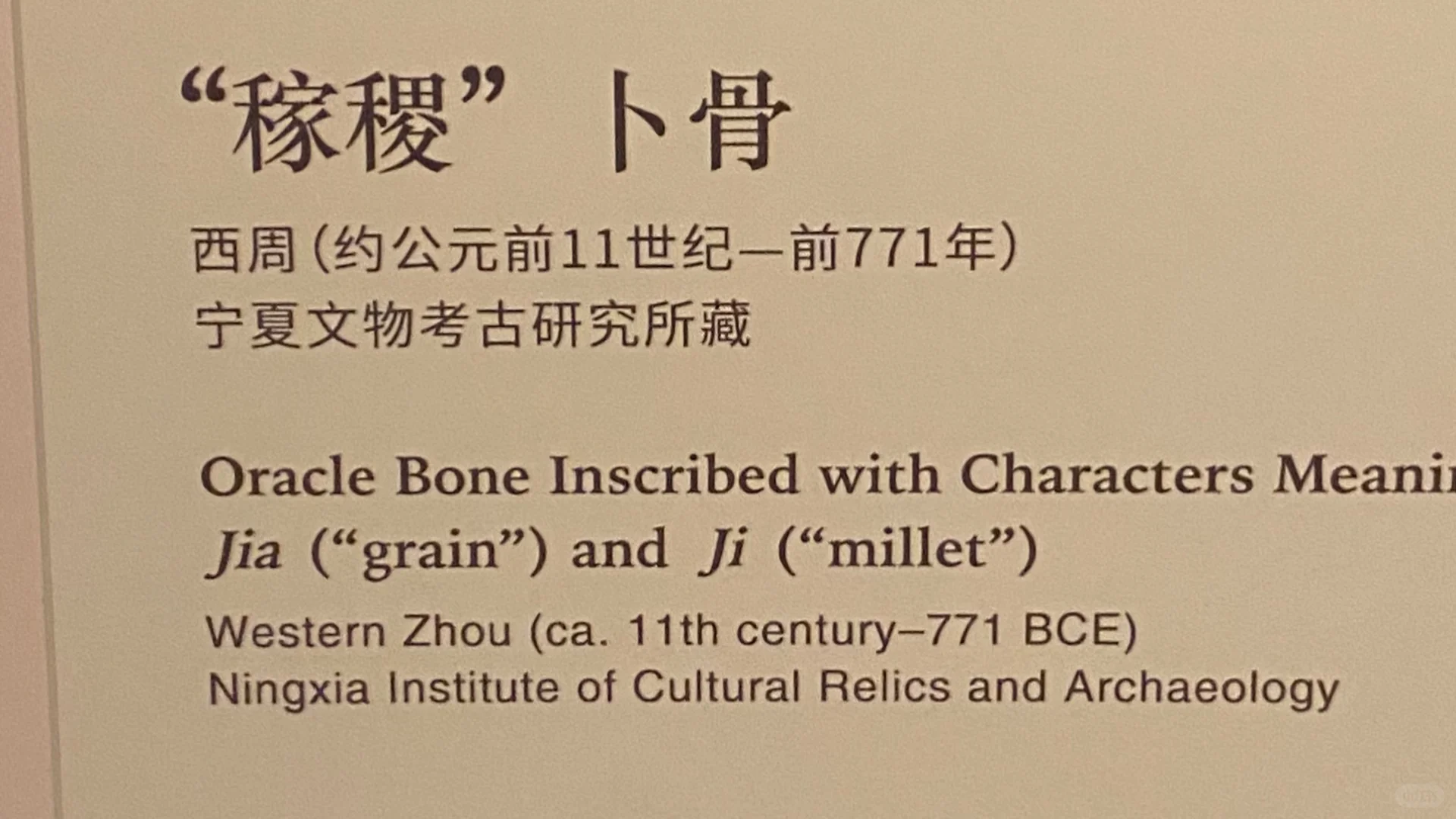 西周 “稼稷”卜骨@宁夏文物考古研究所