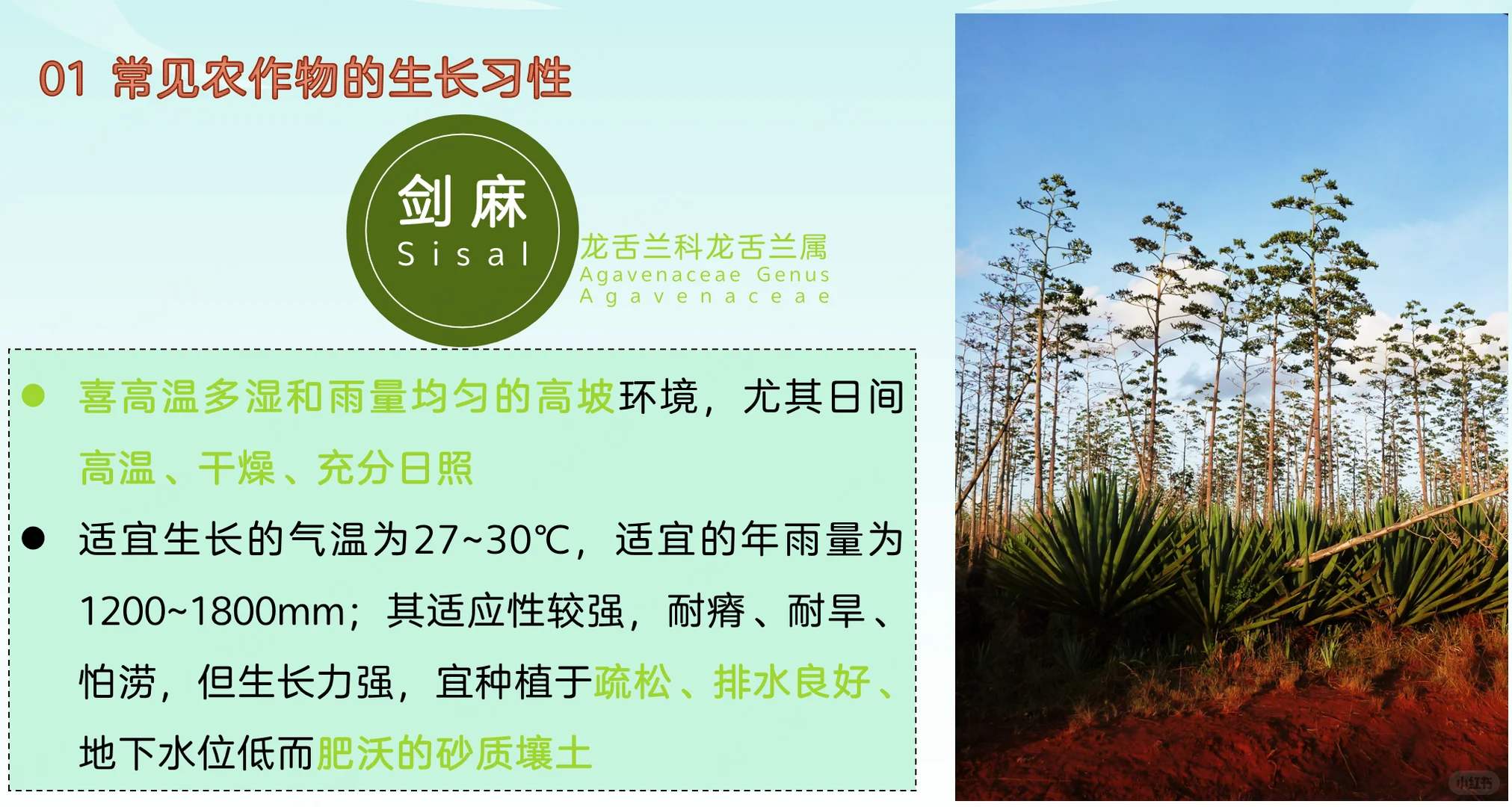 地理热点：常见农作物的生长习性