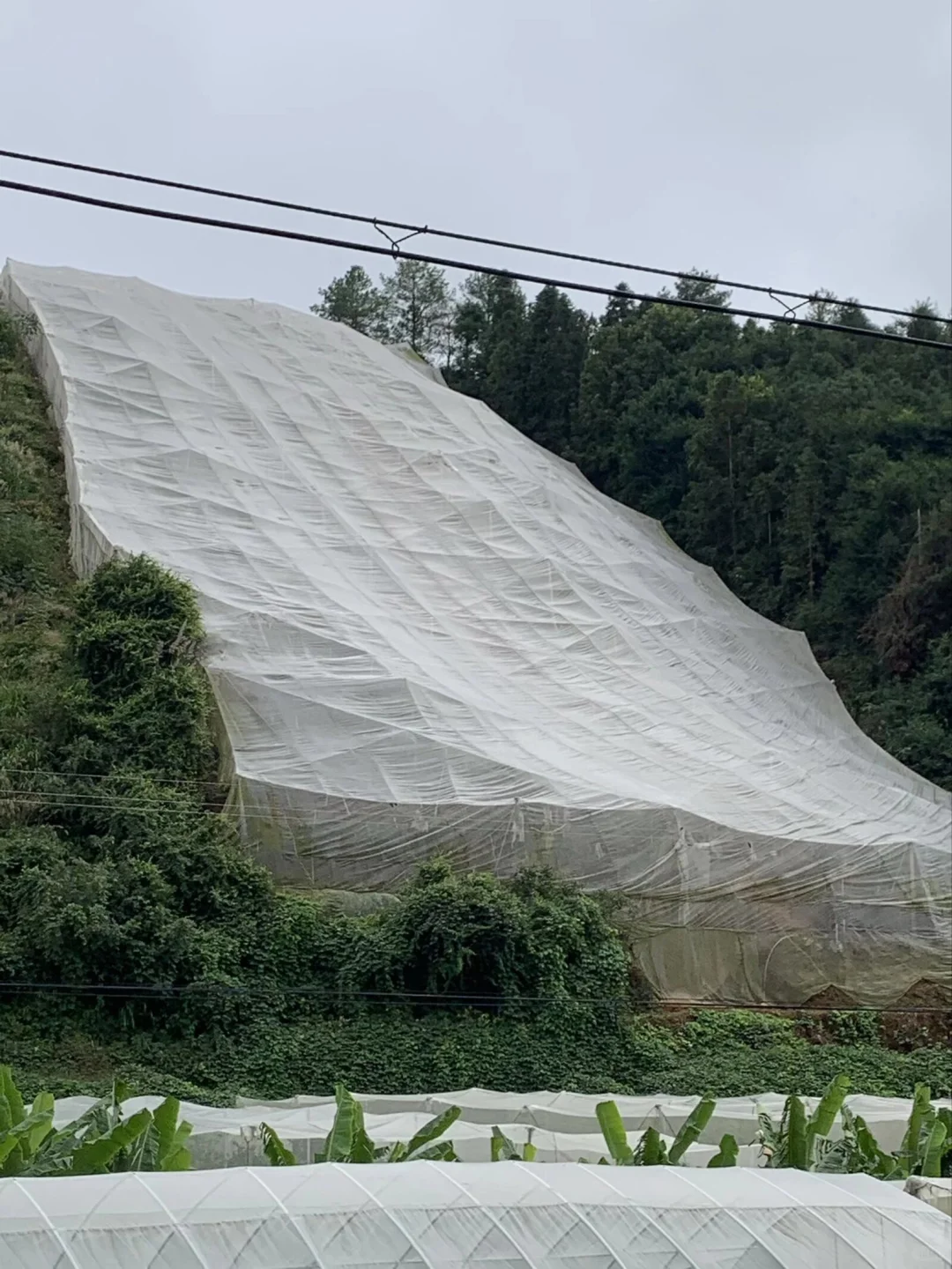 江西大学生校园助农卖赣南脐橙
