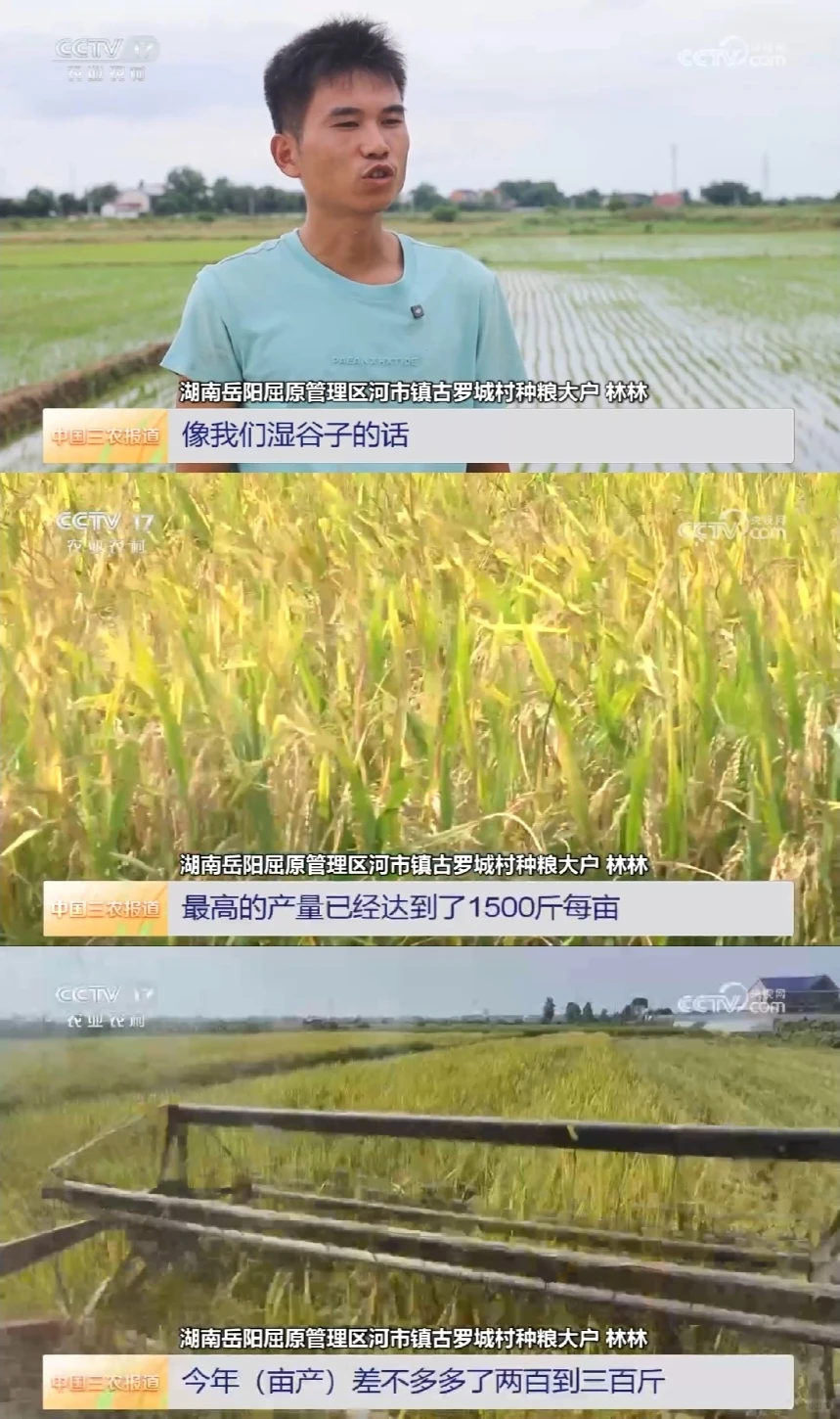 2025年8月1日农业新闻摘录。