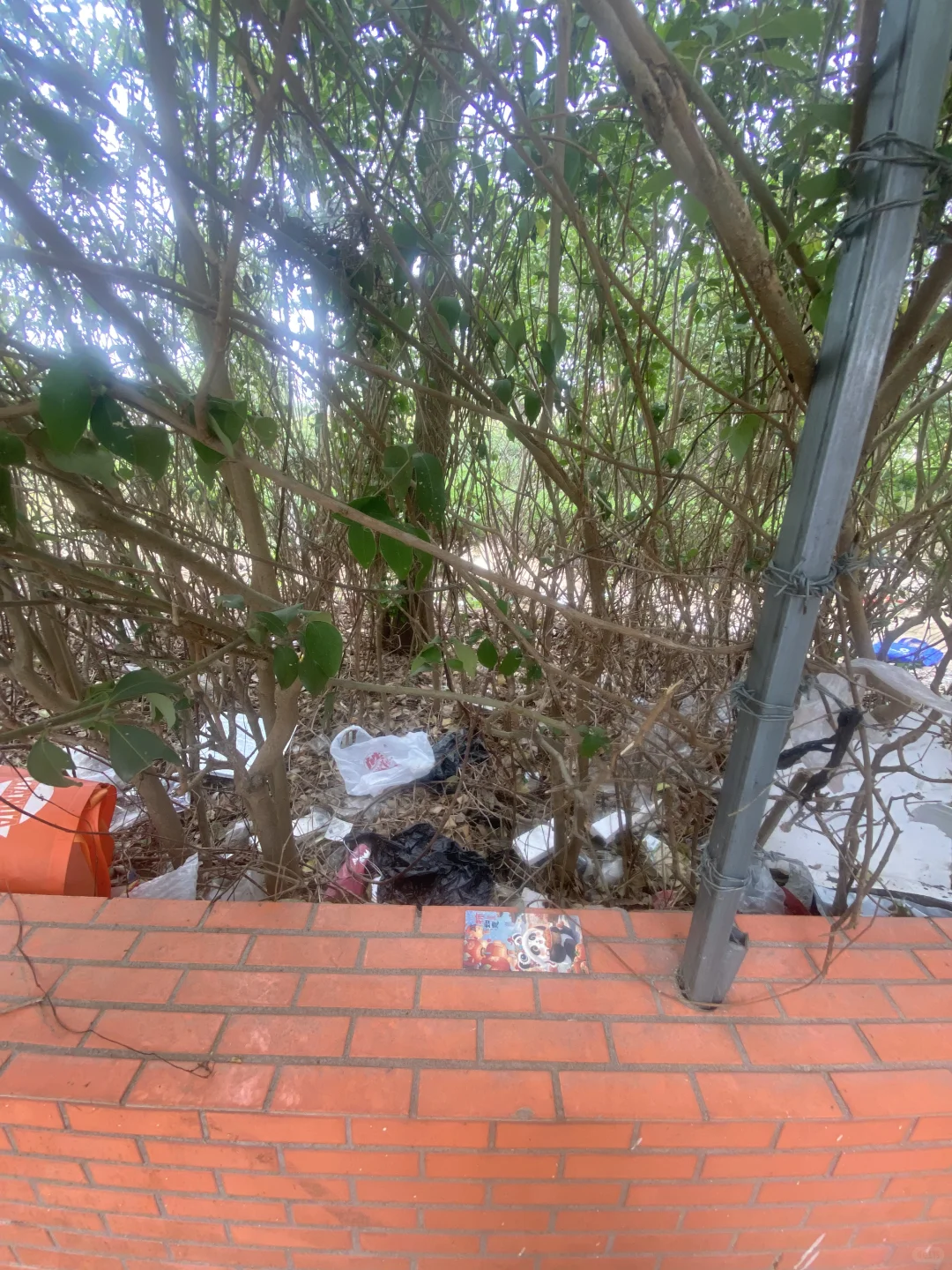 我藏你找豪德城公寓