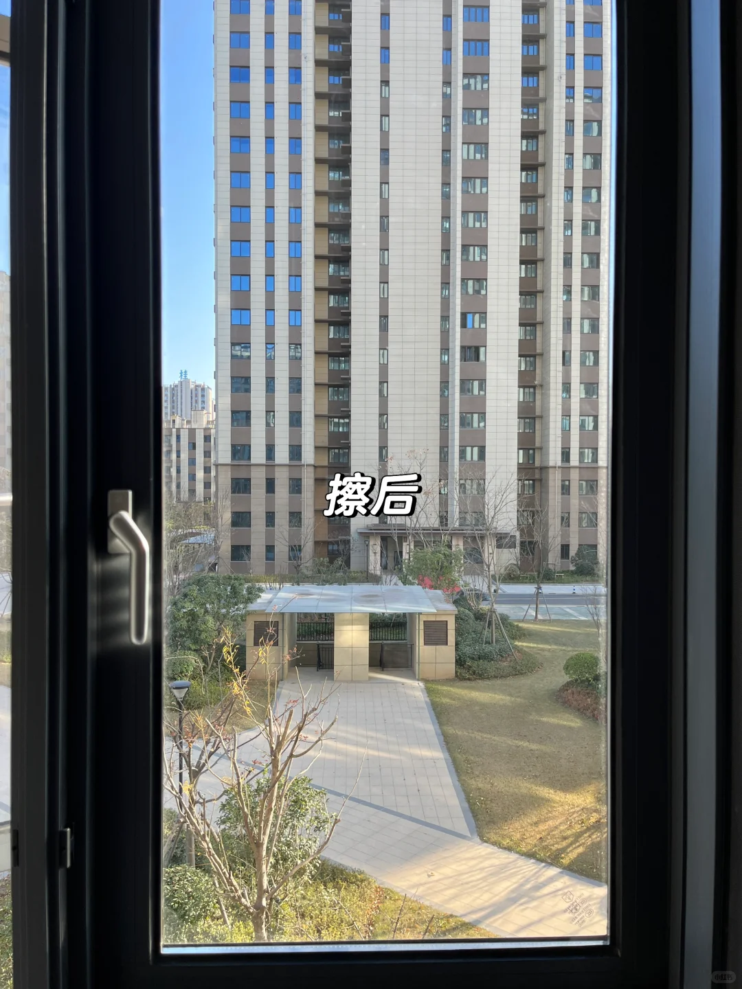 关于我买了个擦窗机器人,邻居都来找我租…