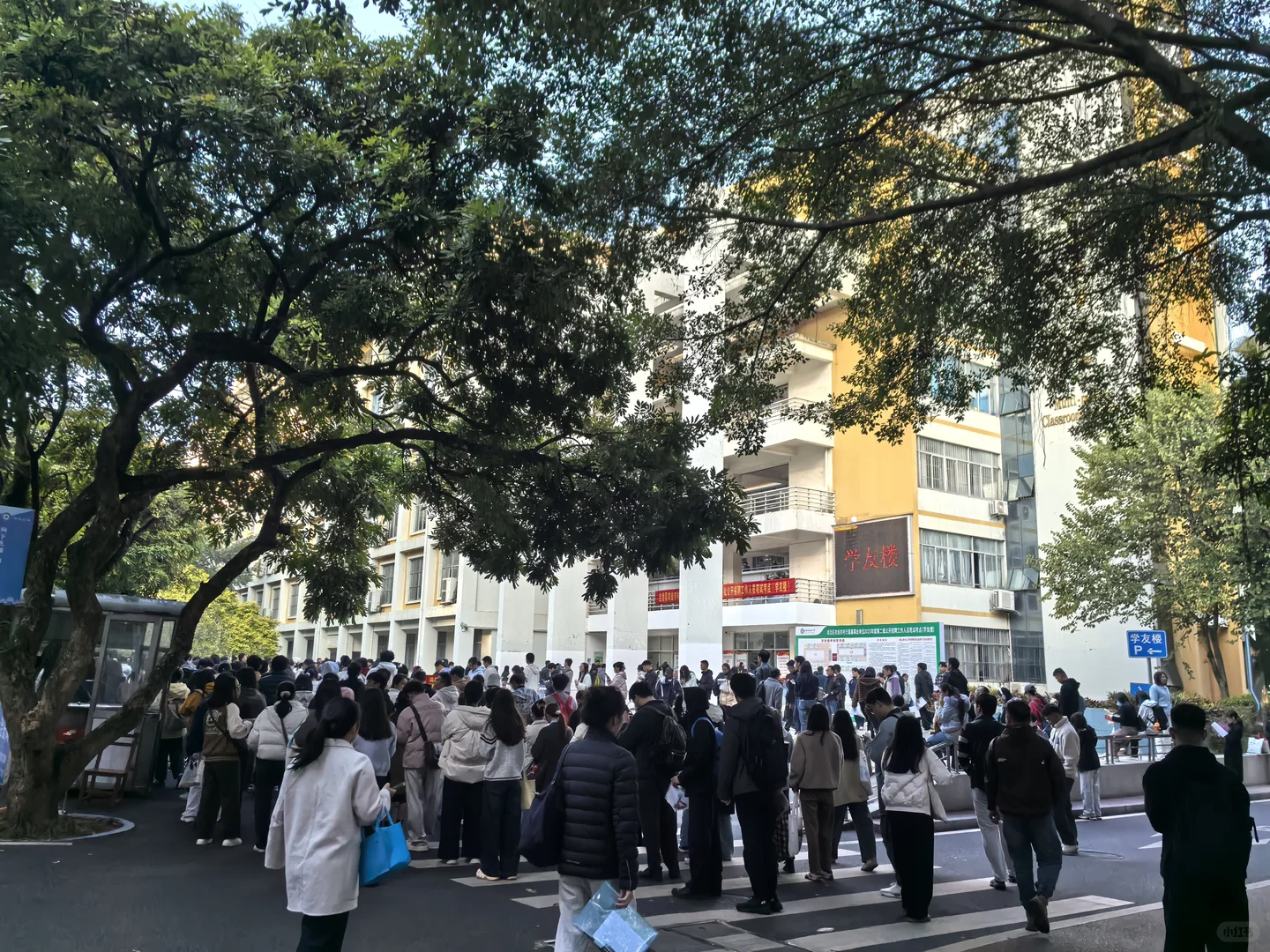 广西农业农村厅考试结束了，路的尽头还是路