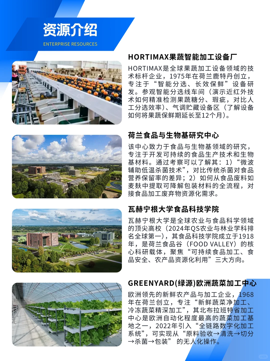 荷兰食品产业考察|走进“欧洲的菜篮子”