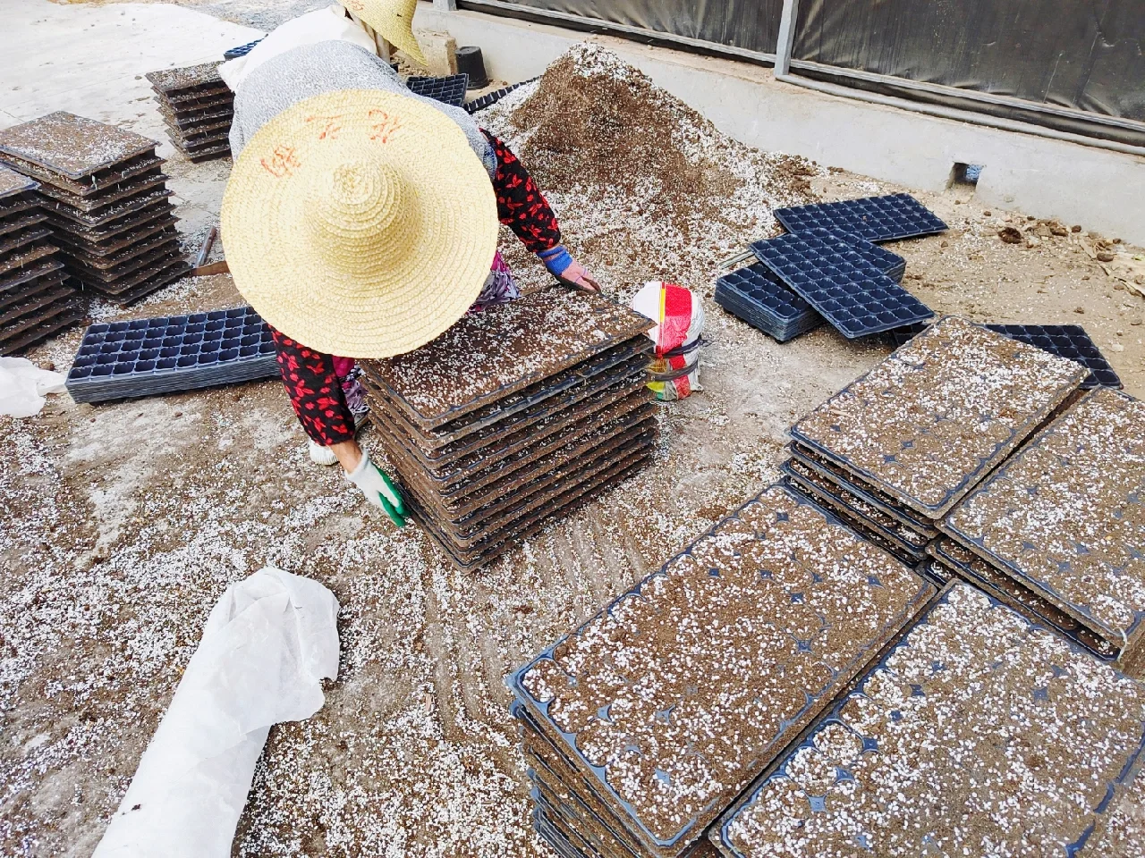 可食用景观植物产品生产