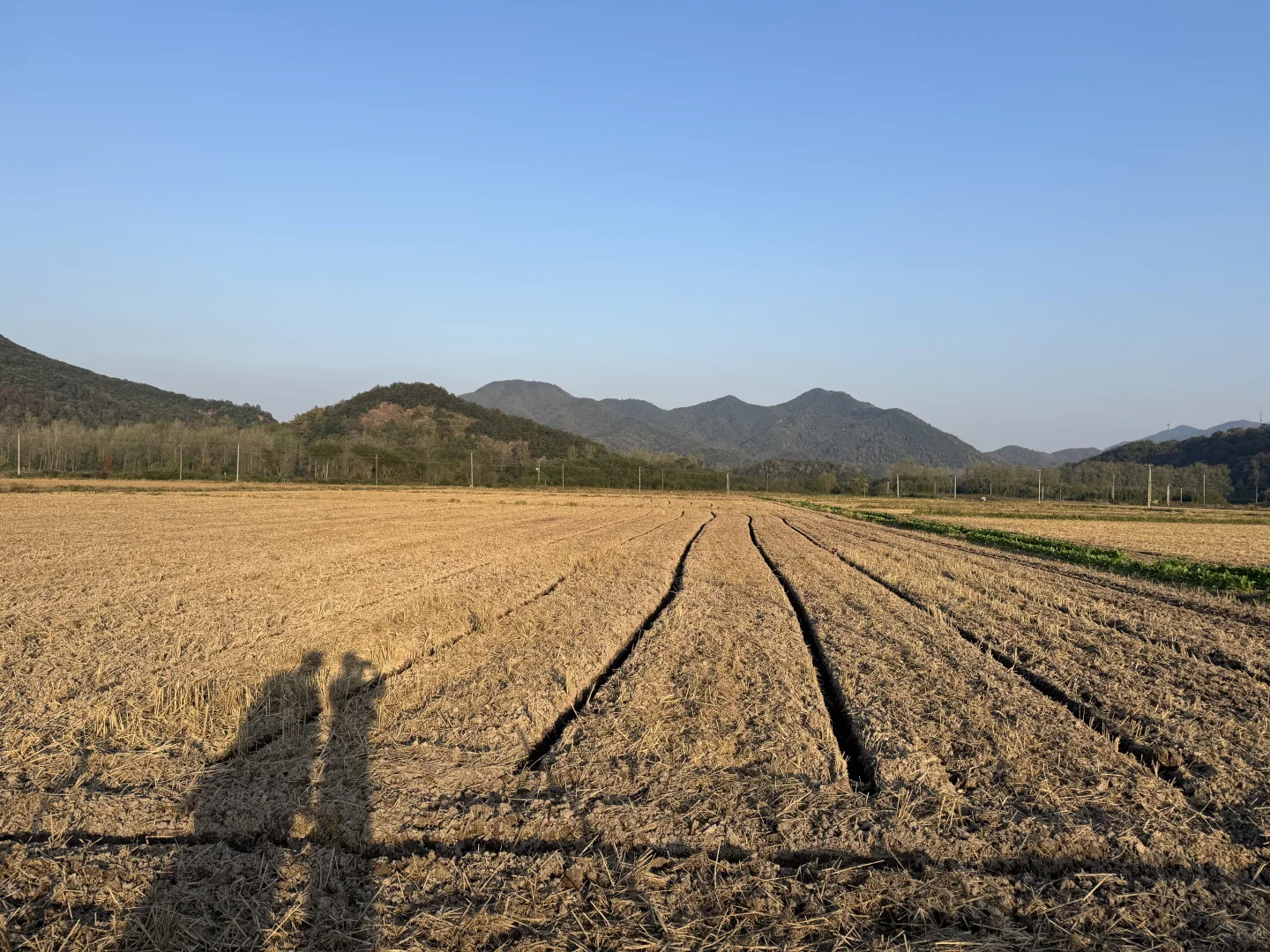 浙江的农村也是越来越好了