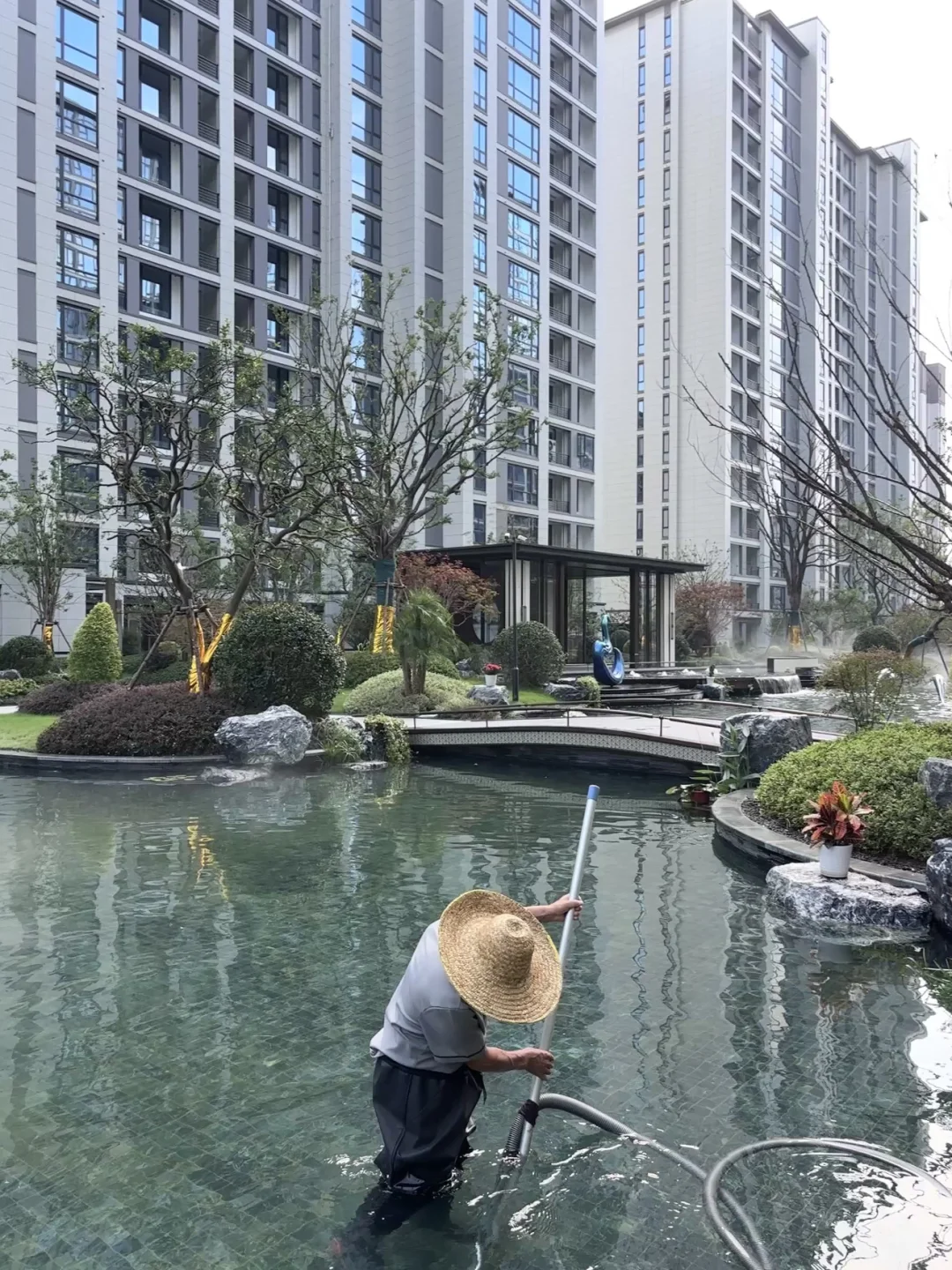水系园林怎么打理啊