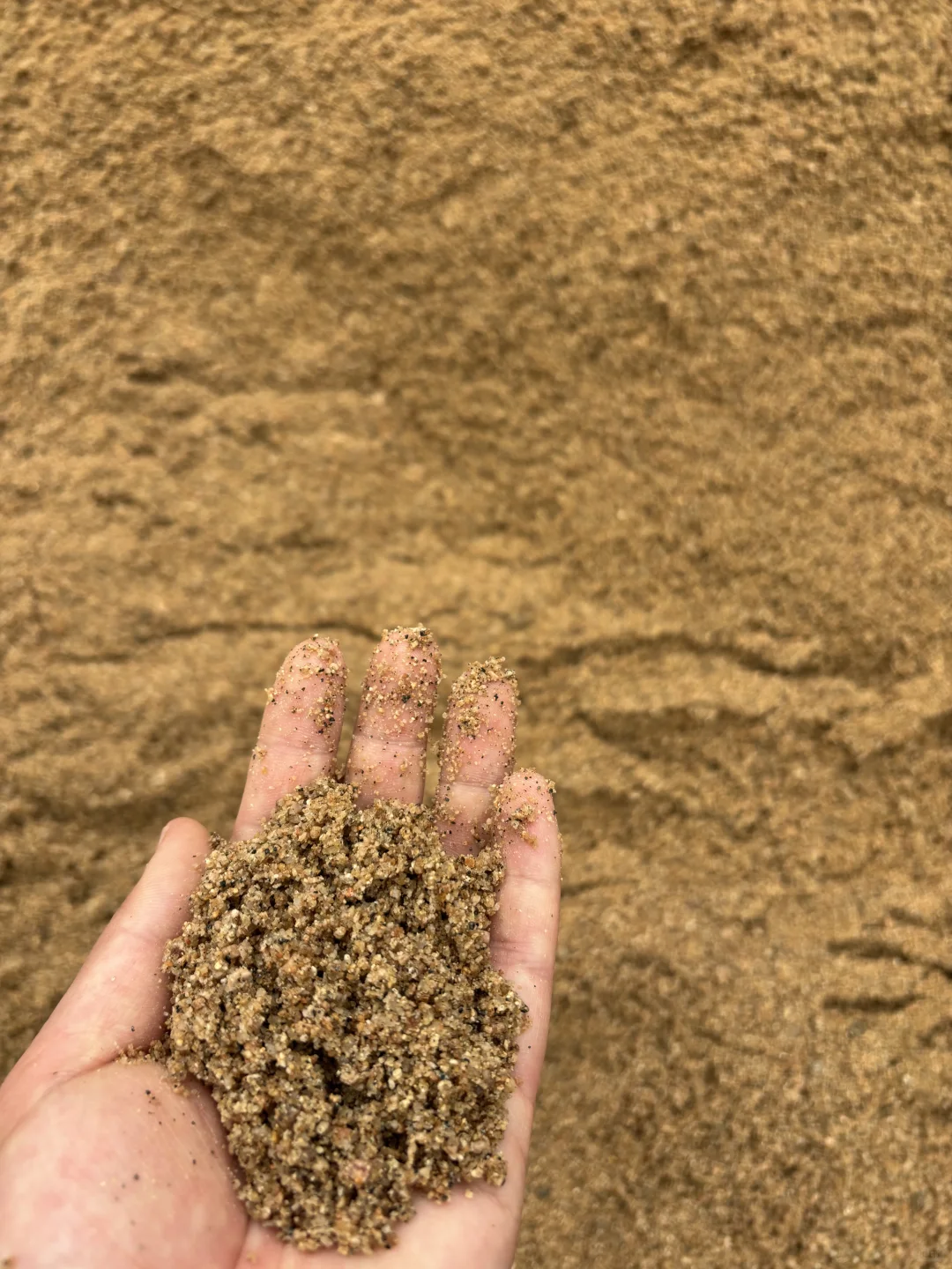 黄沙水泥大小砖批发零售