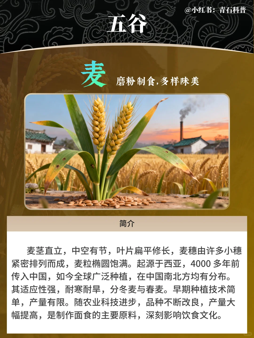 五谷，都包含哪五谷？