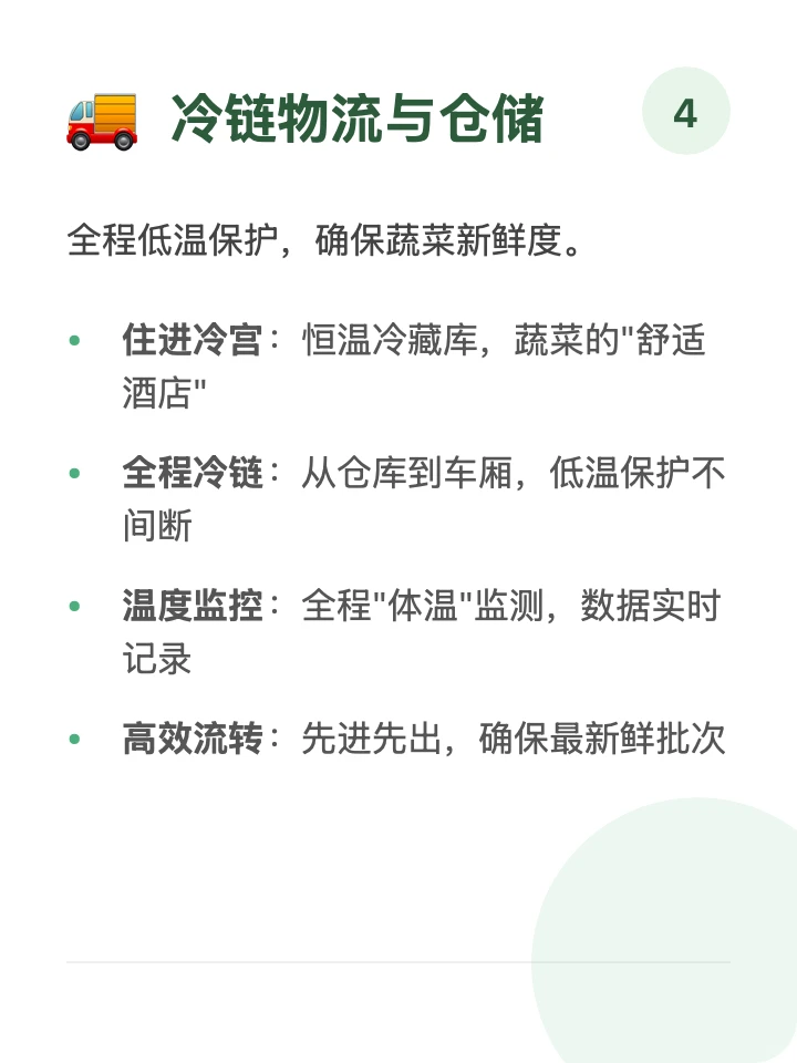 每天一条供应链「蔬菜」?