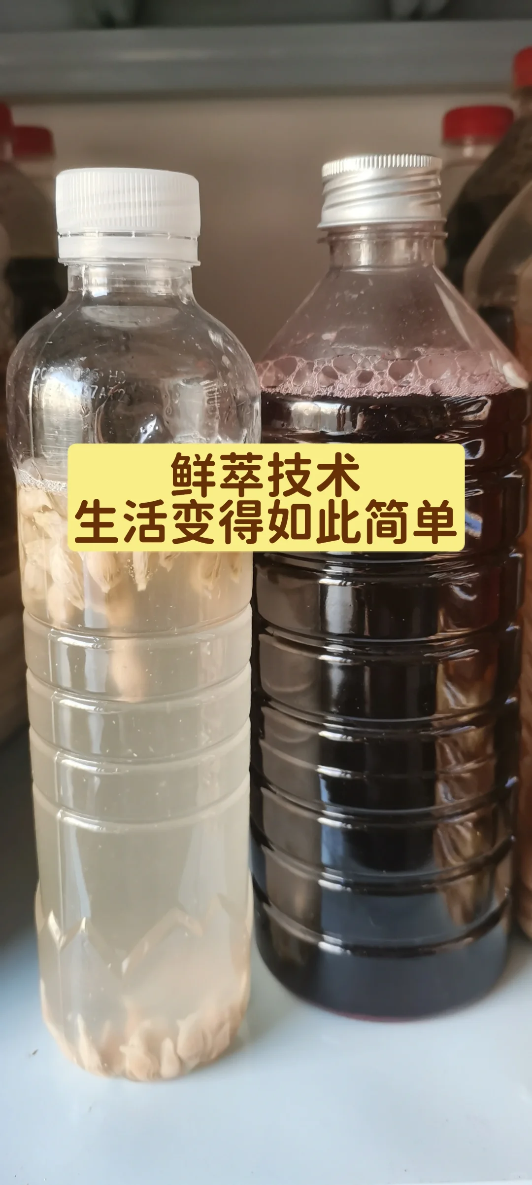 精致生活 | 鲜萃技术，植物源替代化学源