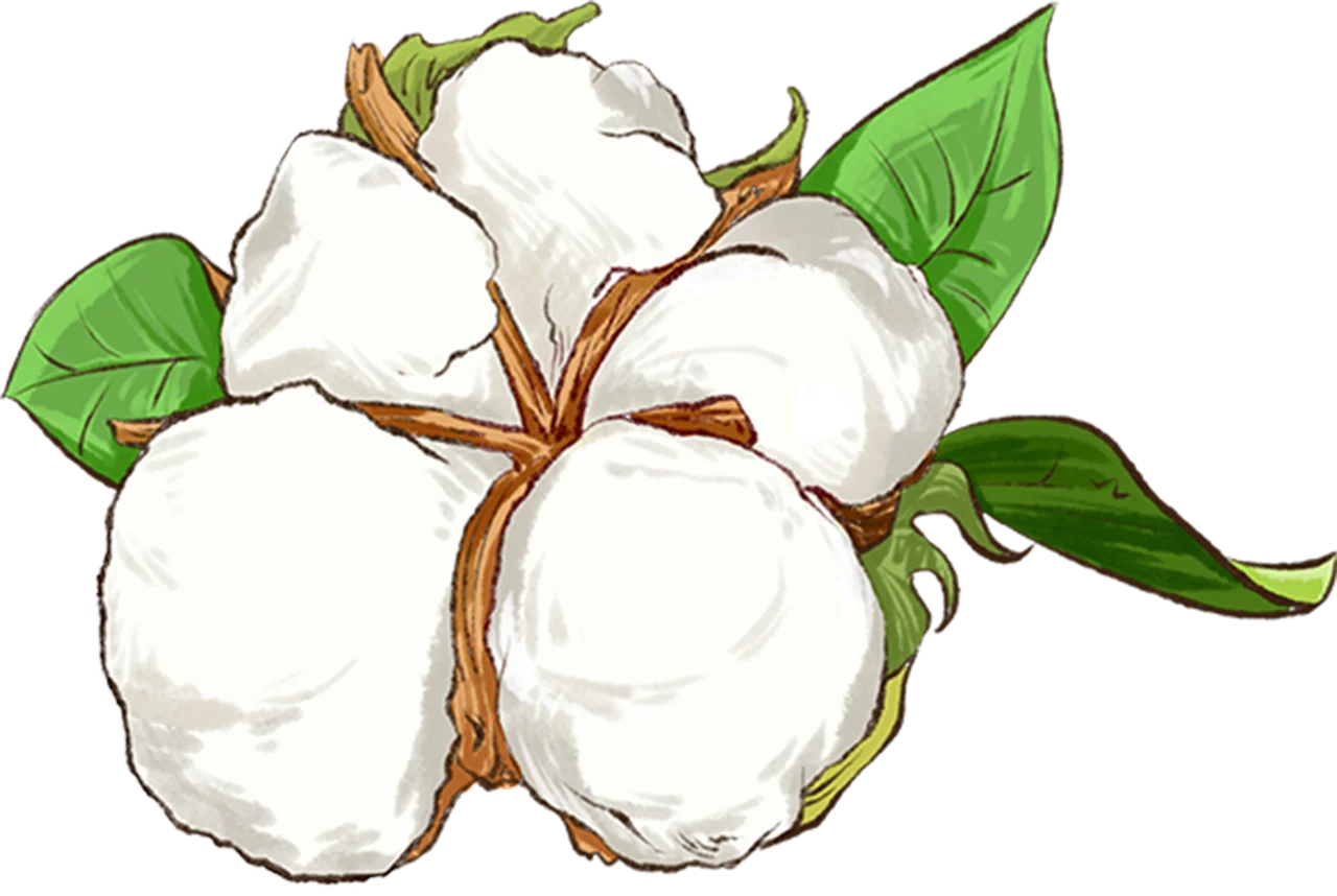 幼儿园环创素材|秋天的农作物