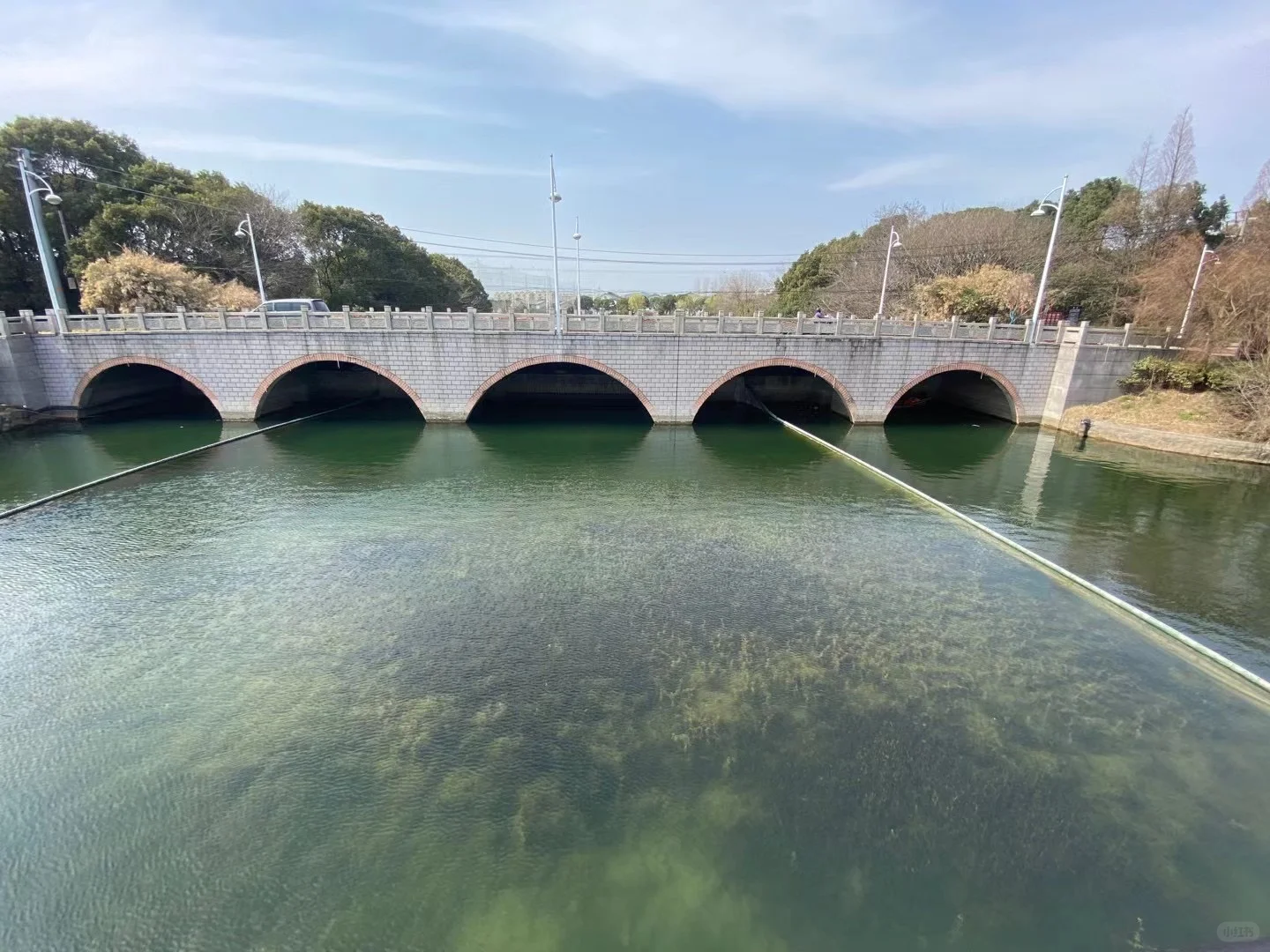 水生态修复美图