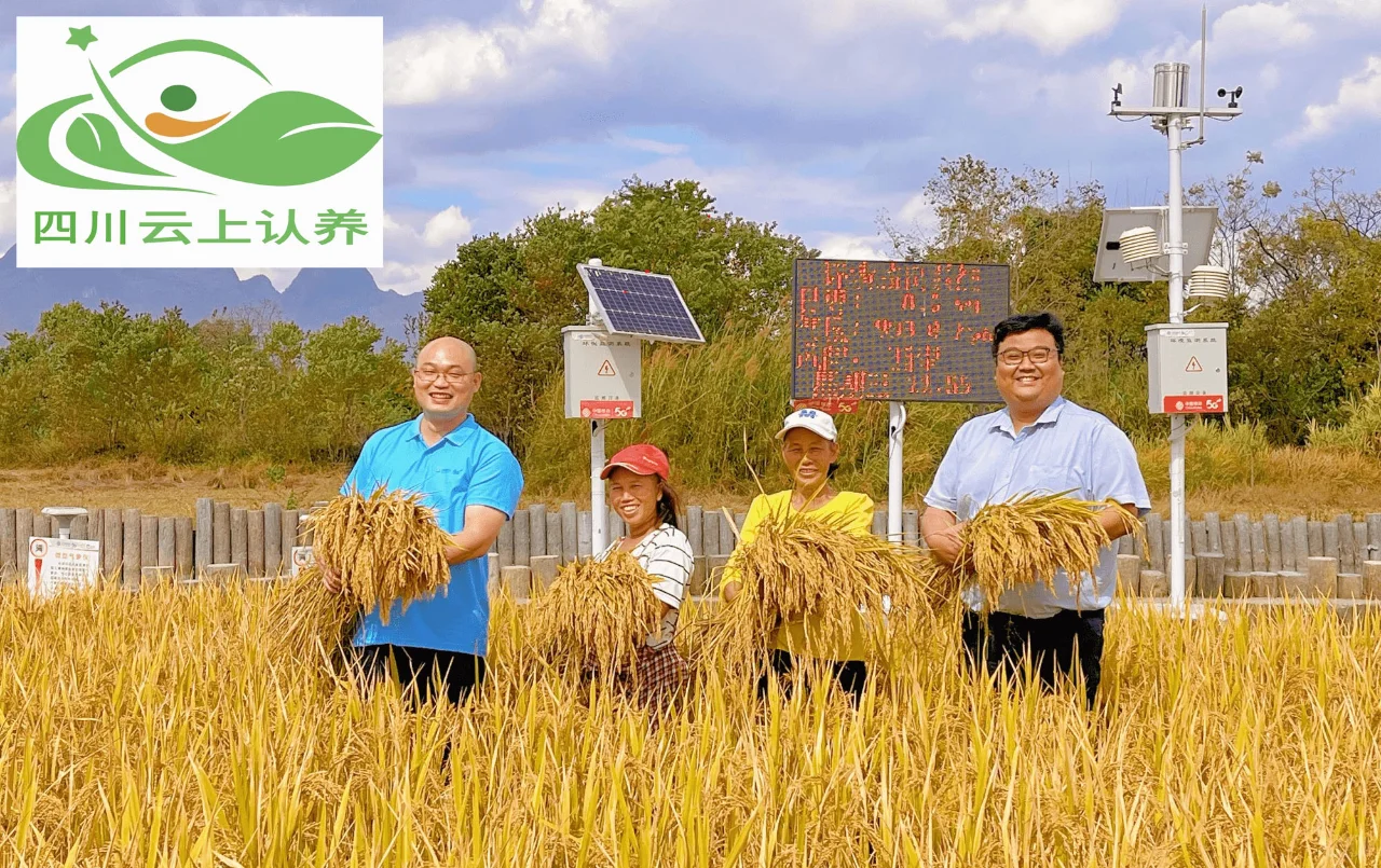 四川云上认养告诉你哪些农产品做认养农业？