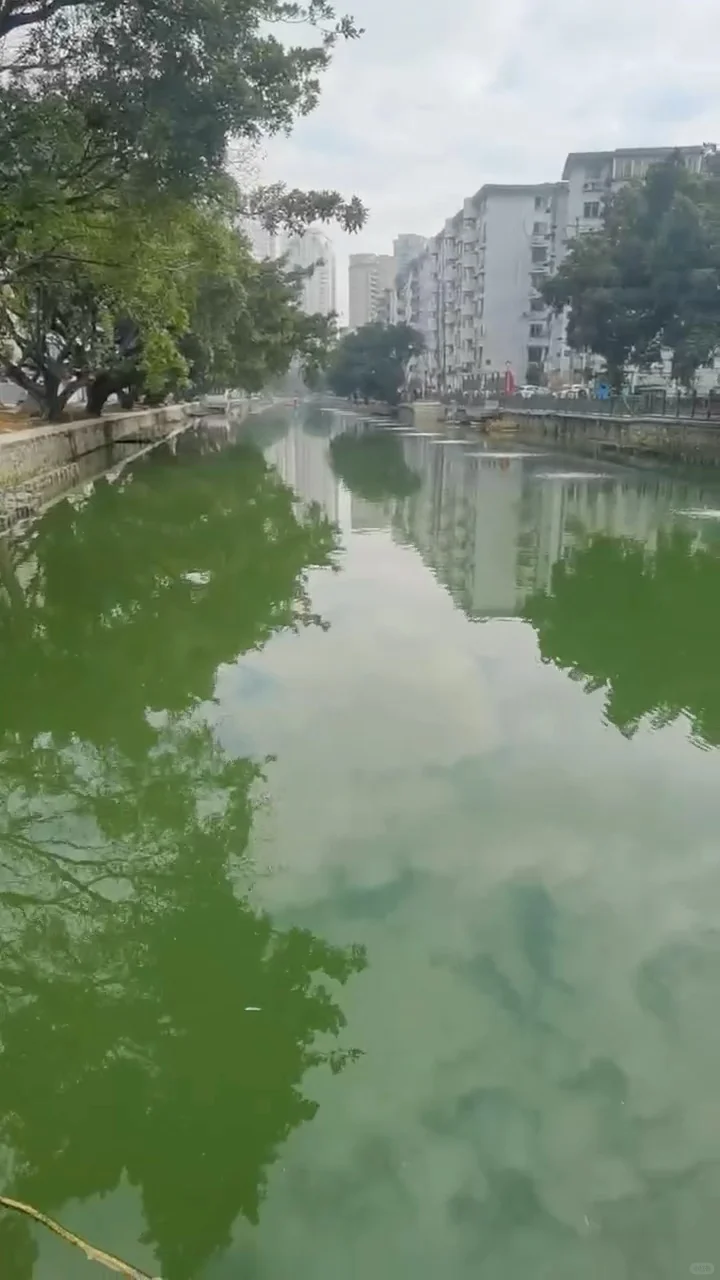 河道“闹脾气”?一键开启水质“救星”模式✨