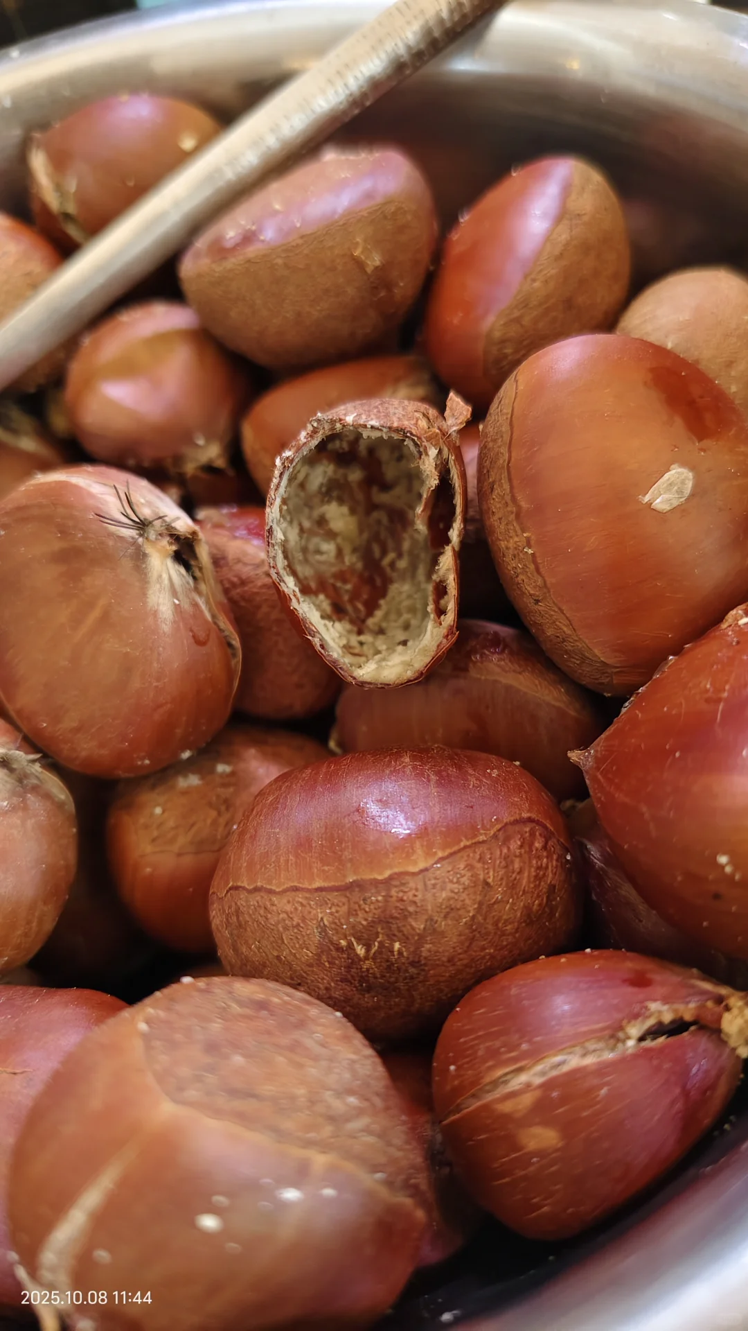 那些避雷丹东板栗的你出来。