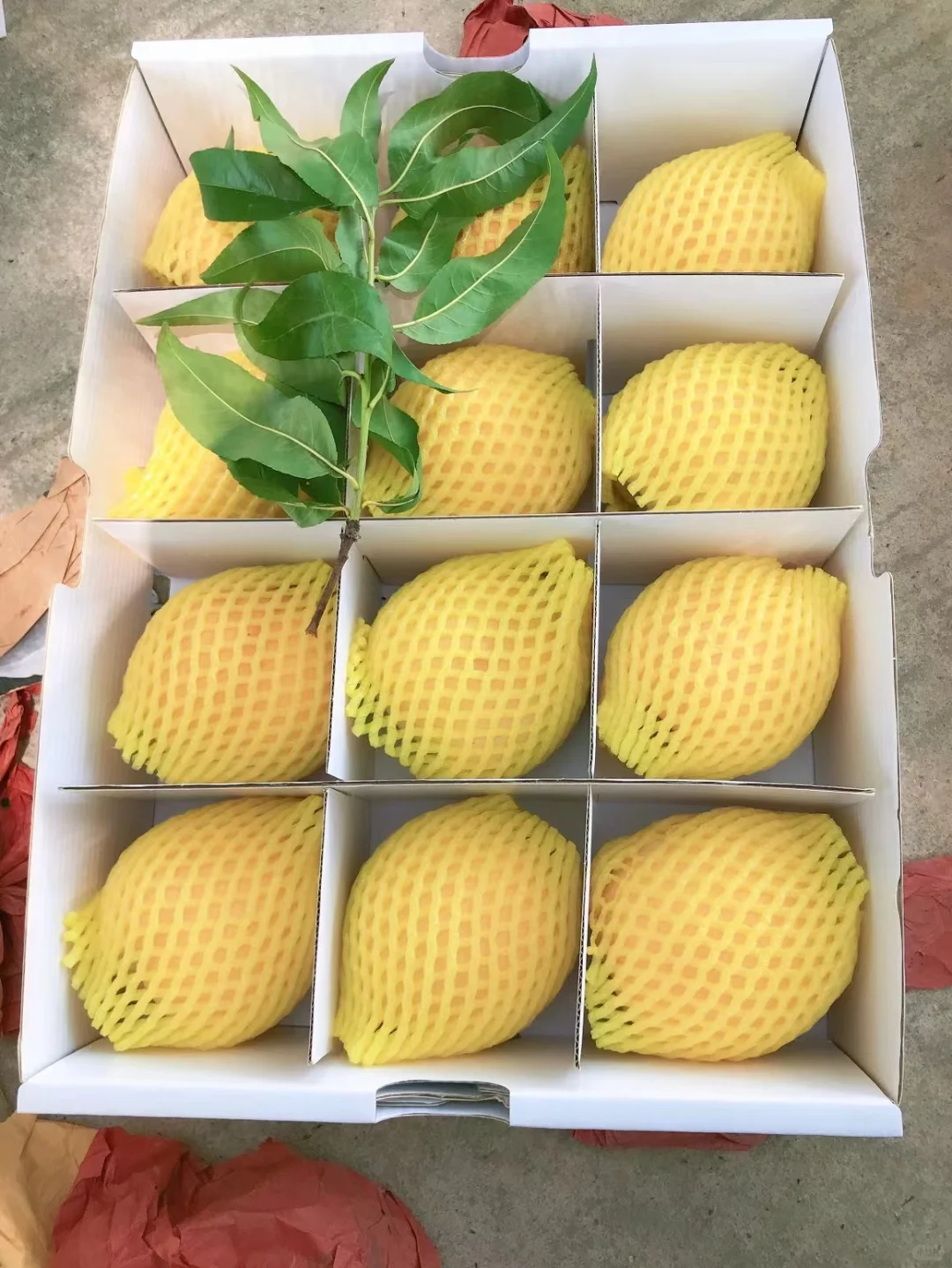 爱心助农暖人心，道和健康显担当