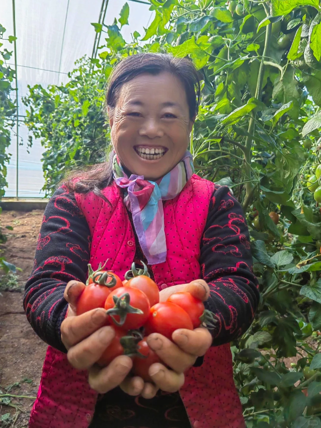 感恩节丨农人的喜悦金不换！