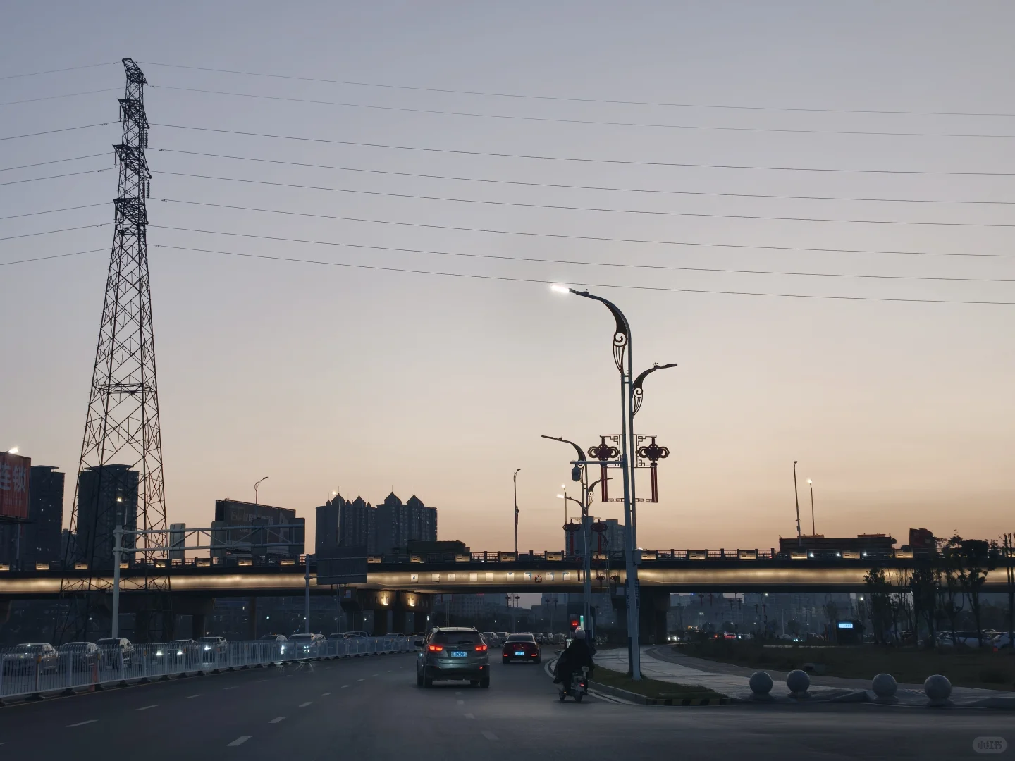 又是一年萝卜季