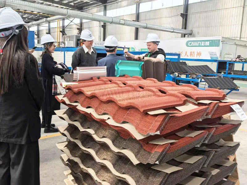 谁懂啊家人们！哈萨克斯坦友人来彩麟工厂了