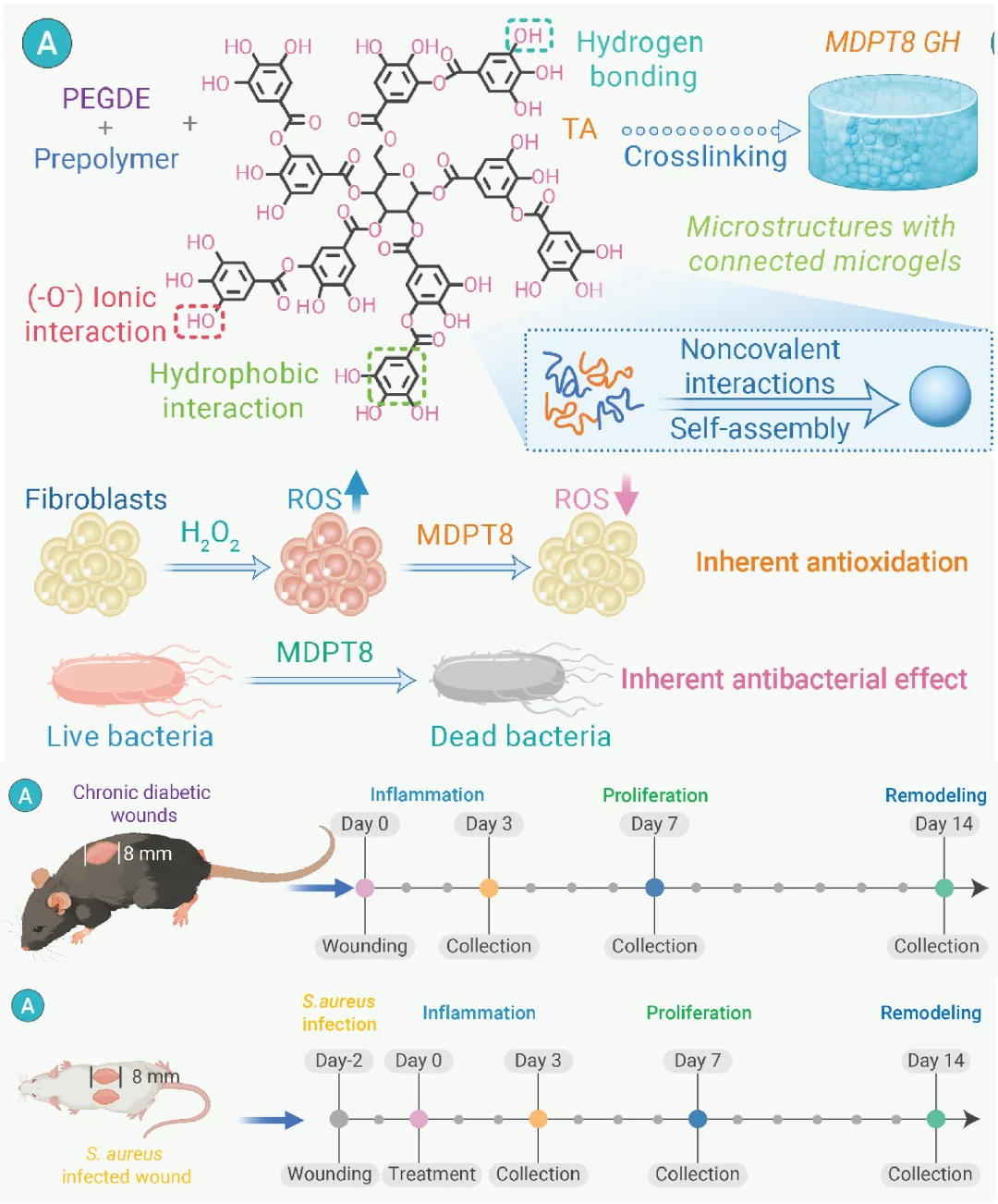 Day182 好看的科研绘图编辑、审稿人都喜欢