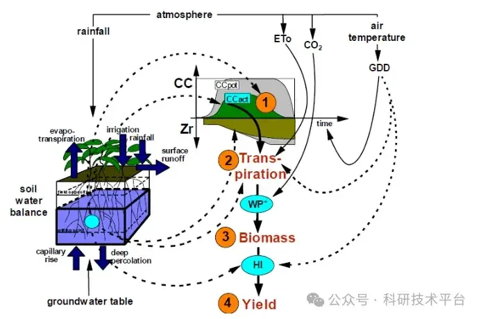 AquaCrop模型:原理、数据与操作