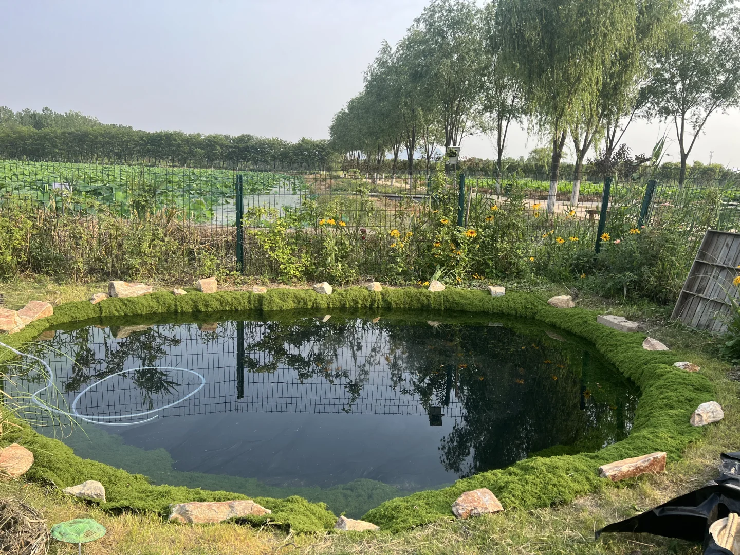 右划看臭水沟变身梦幻仙境