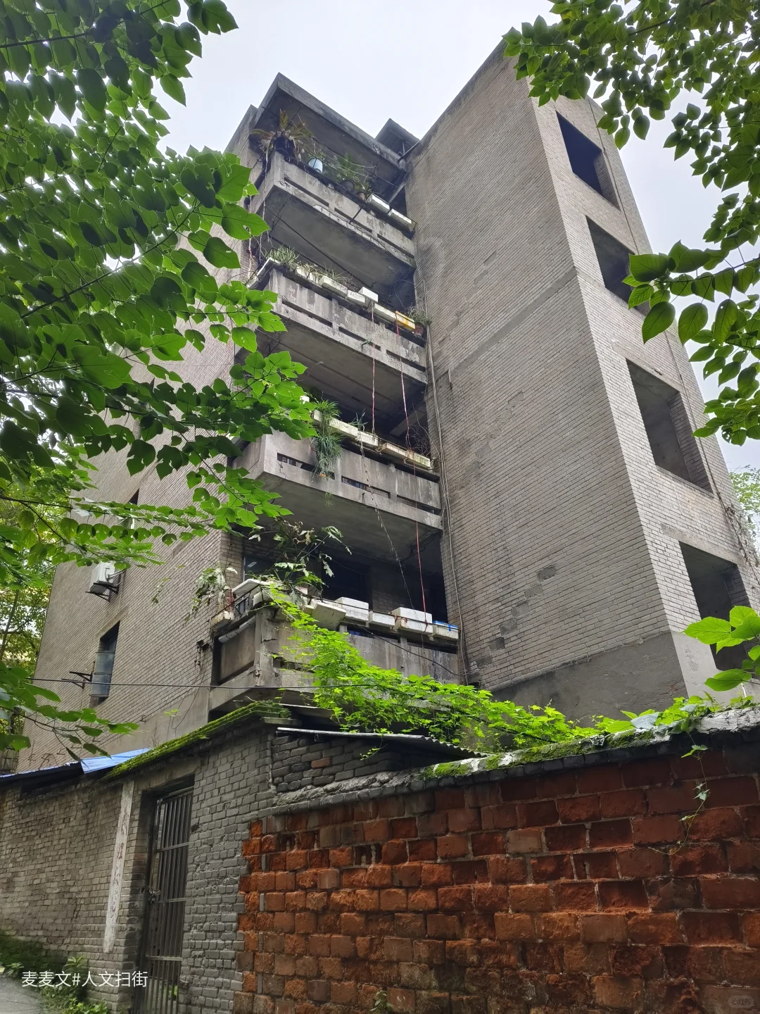 【江津】茶叶机械厂从热闹车间到寂静空院