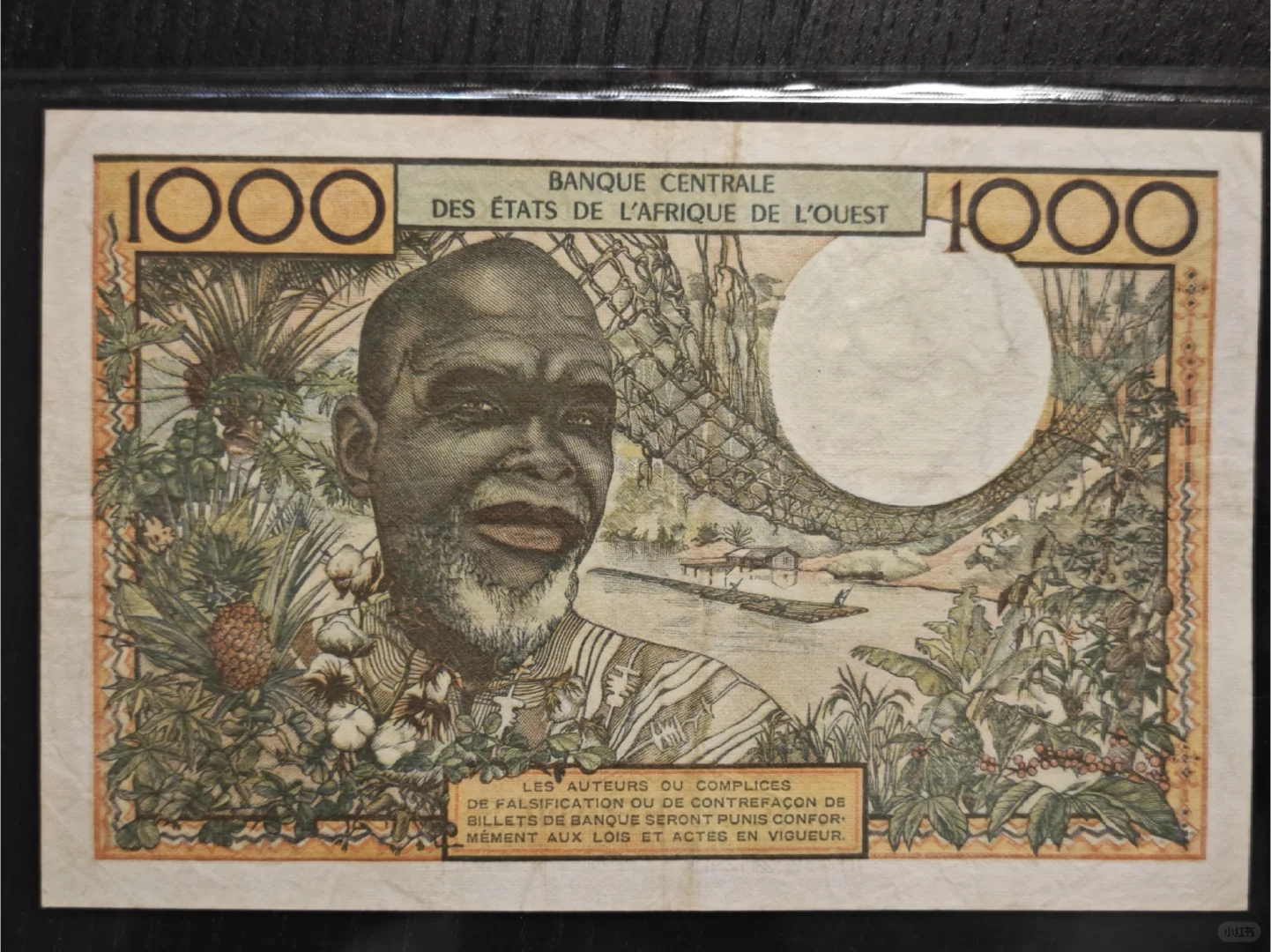 1965年1000西非法郎：一张经济作物大观园