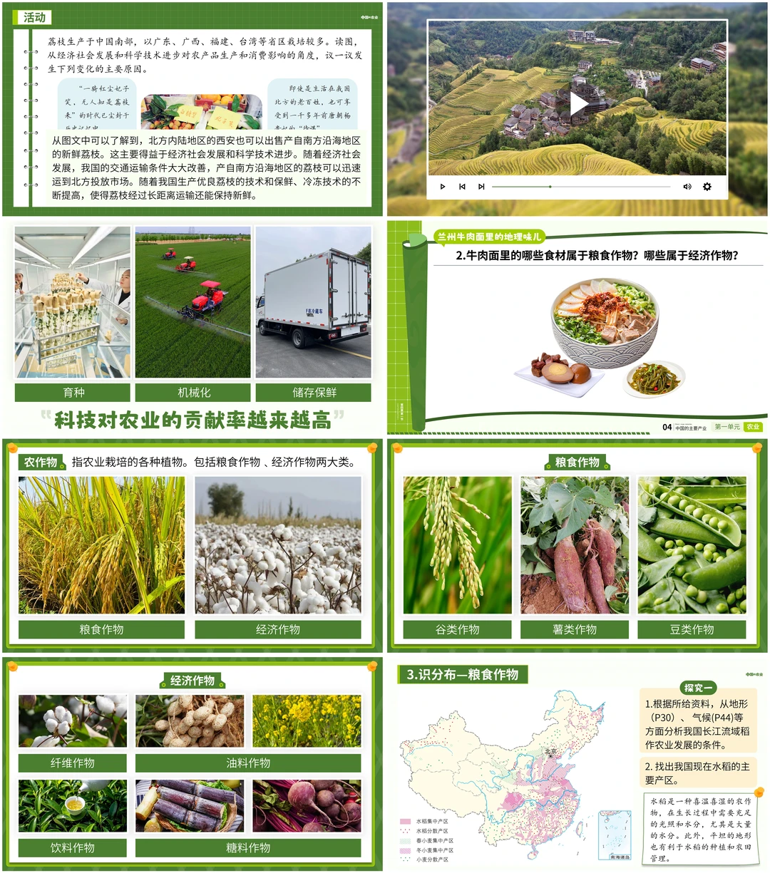 八上地理|从兰州牛肉面到《中国的农业》