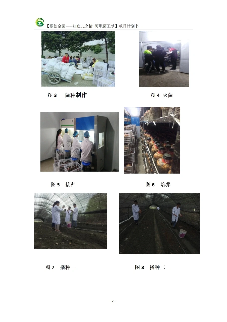 三创赛?助农项目|乡村振兴项目计划书