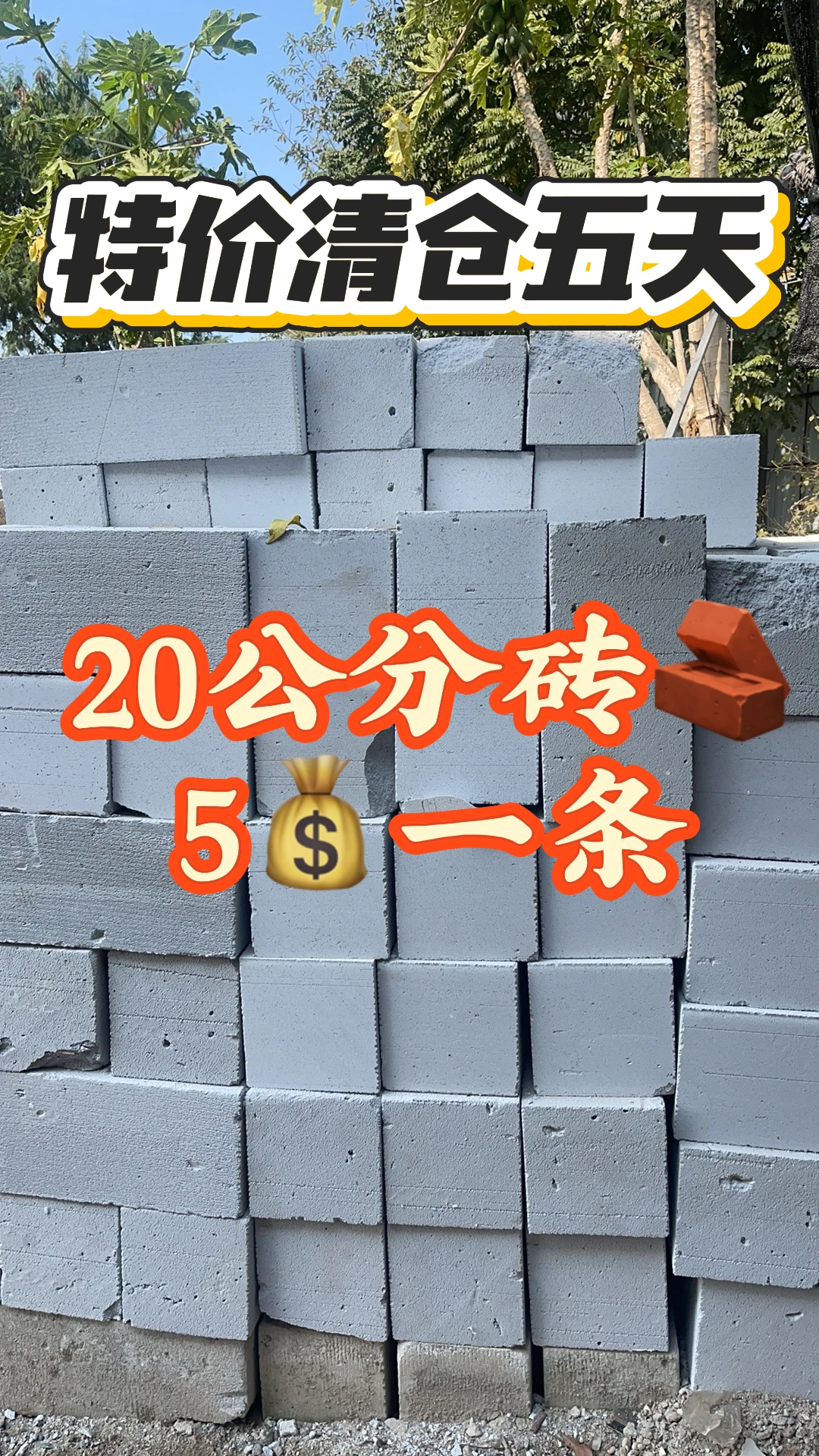 深圳 特价清仓5天