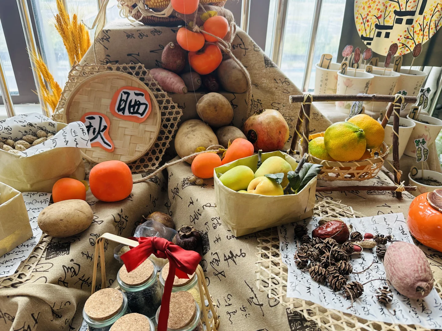 幼儿园秋季植物角——晒秋、秋收冬藏