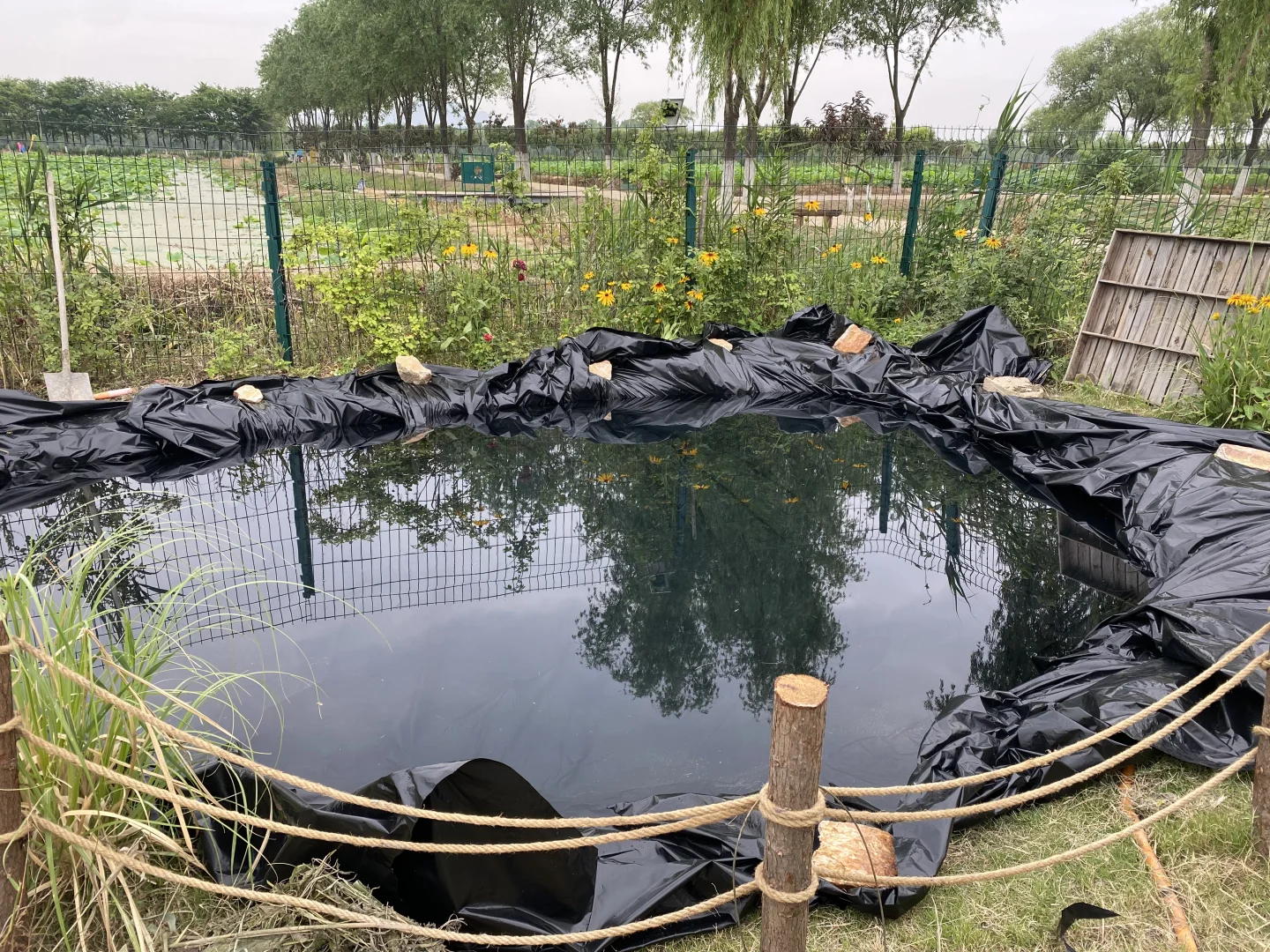 右划看臭水沟变身梦幻仙境