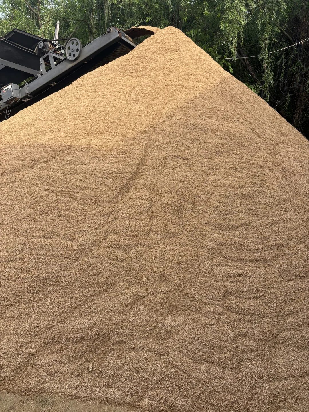 黄沙水泥大小砖批发零售