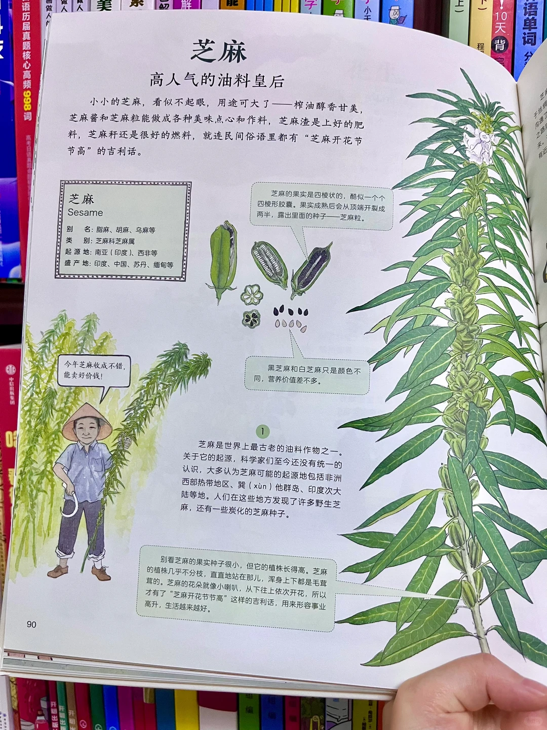 咋办呀!我真的沉醉在这绘本里了!命根子书!!