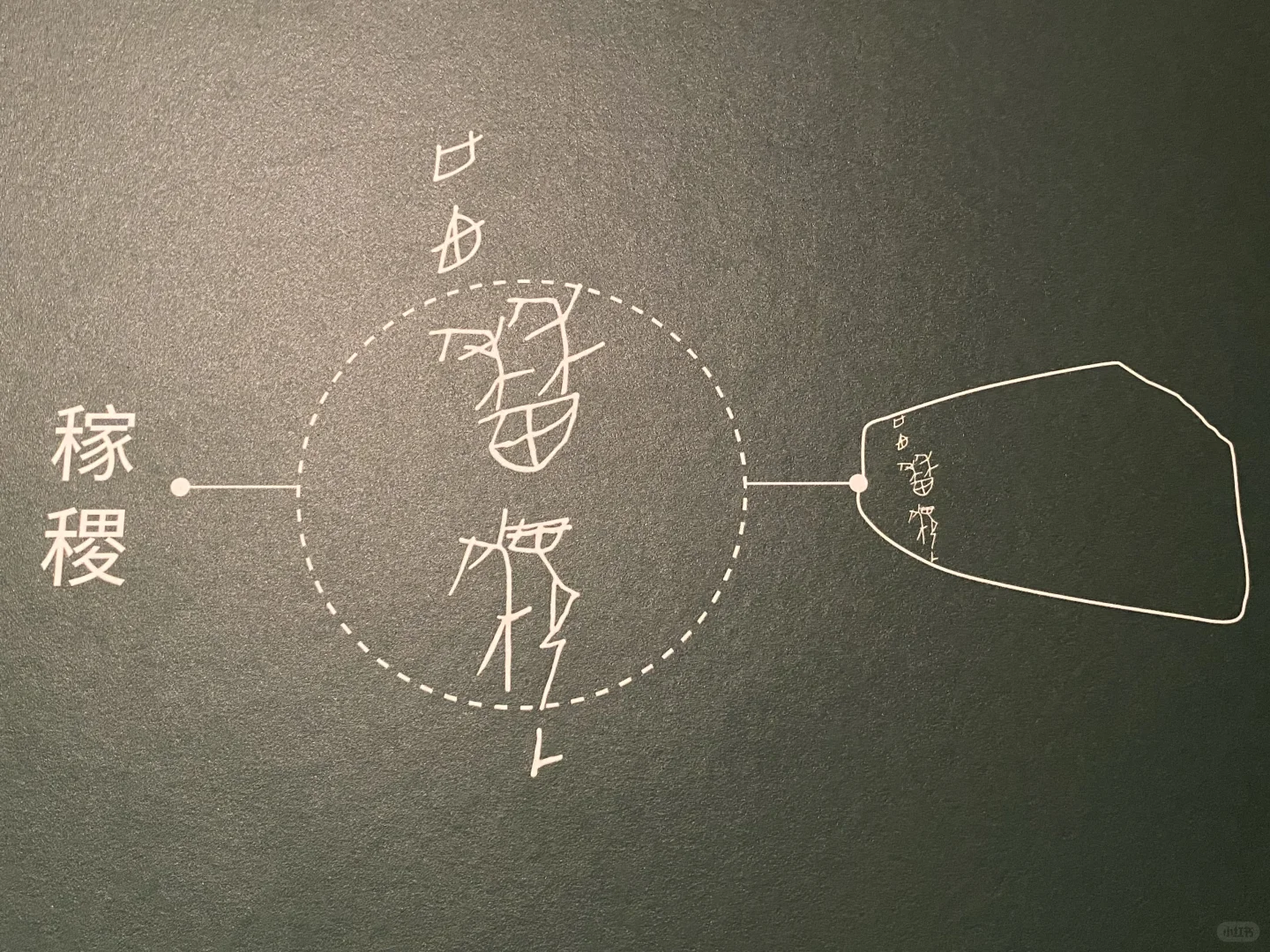 西周 “稼稷”卜骨@宁夏文物考古研究所