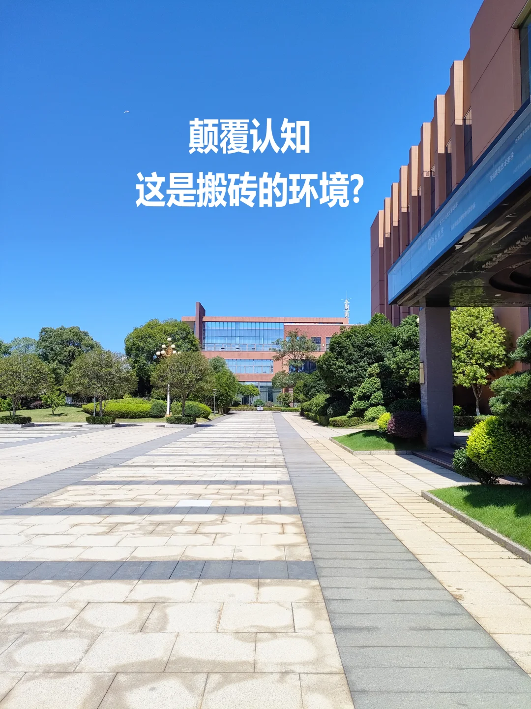 颠覆认知！这哪里是搬砖的地方？