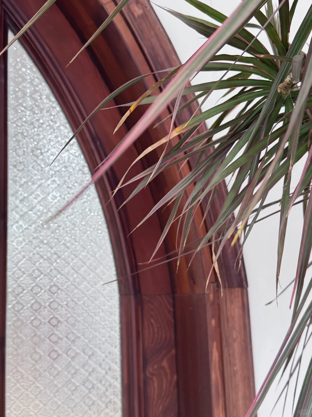 我好像真的在广州找到神仙工作