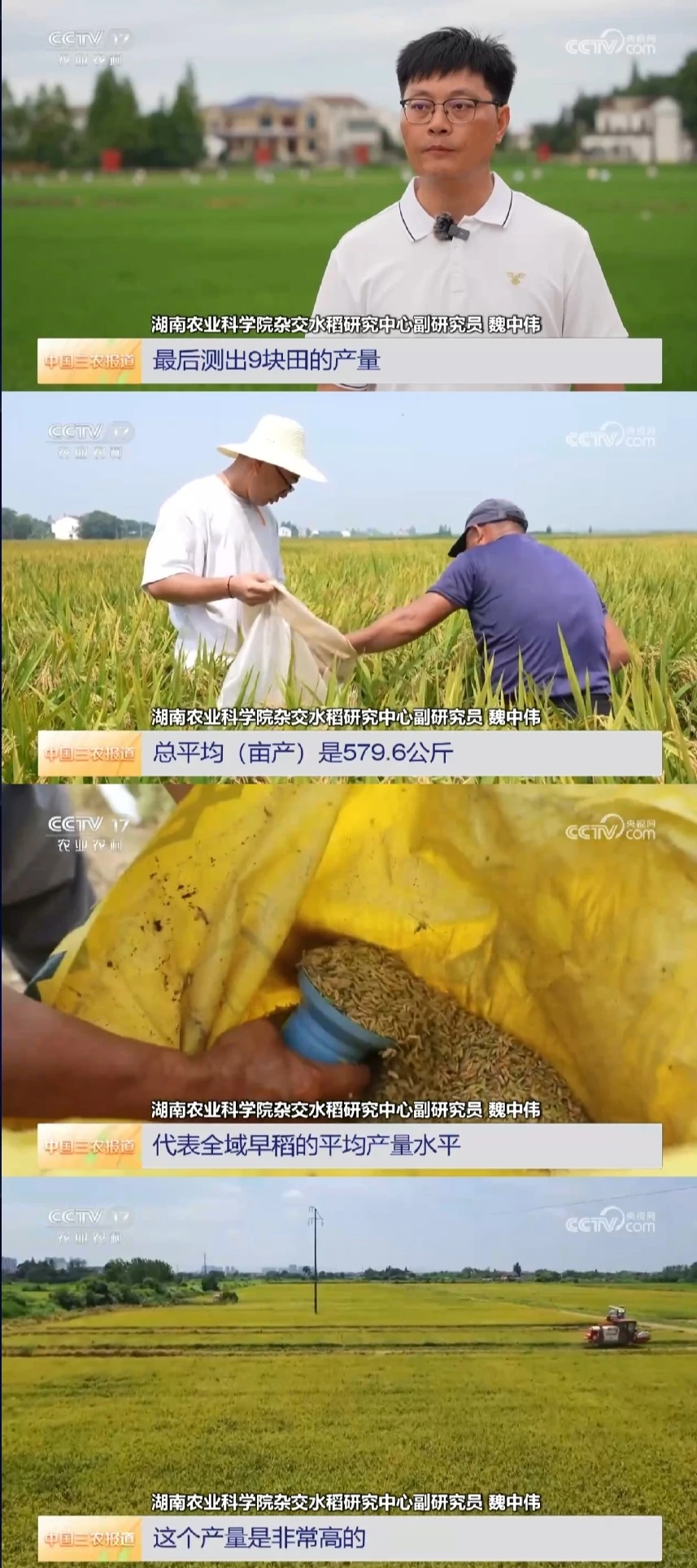 2025年8月1日农业新闻摘录。