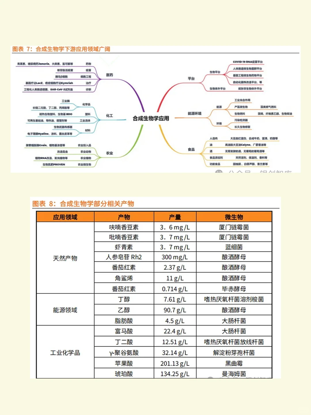合成生物产业链