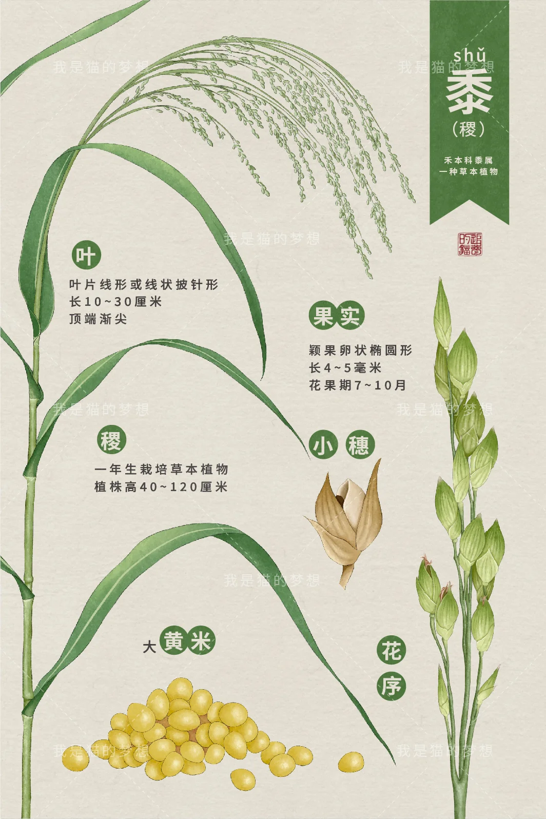 五谷来袭之【稻】【黍】【稷】【麦】【菽】（已独家）