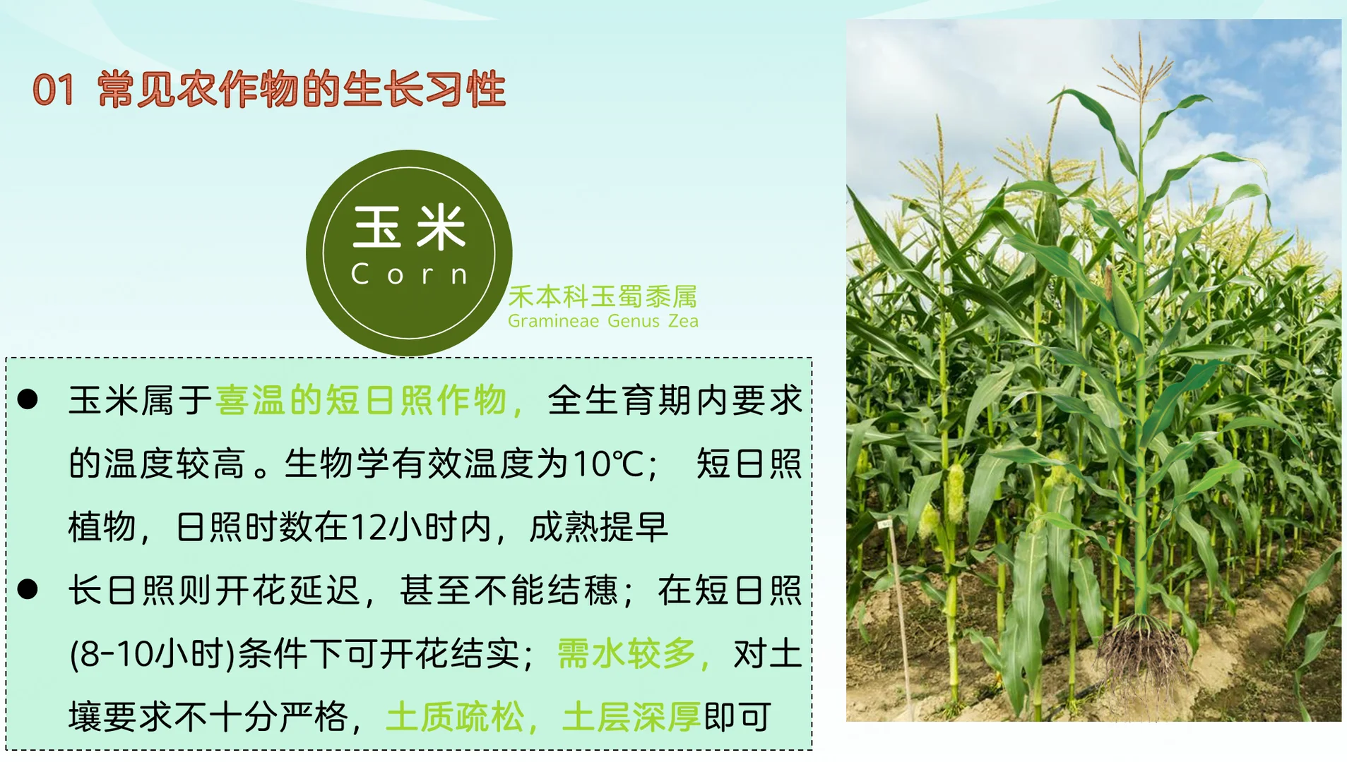 地理热点：常见农作物的生长习性