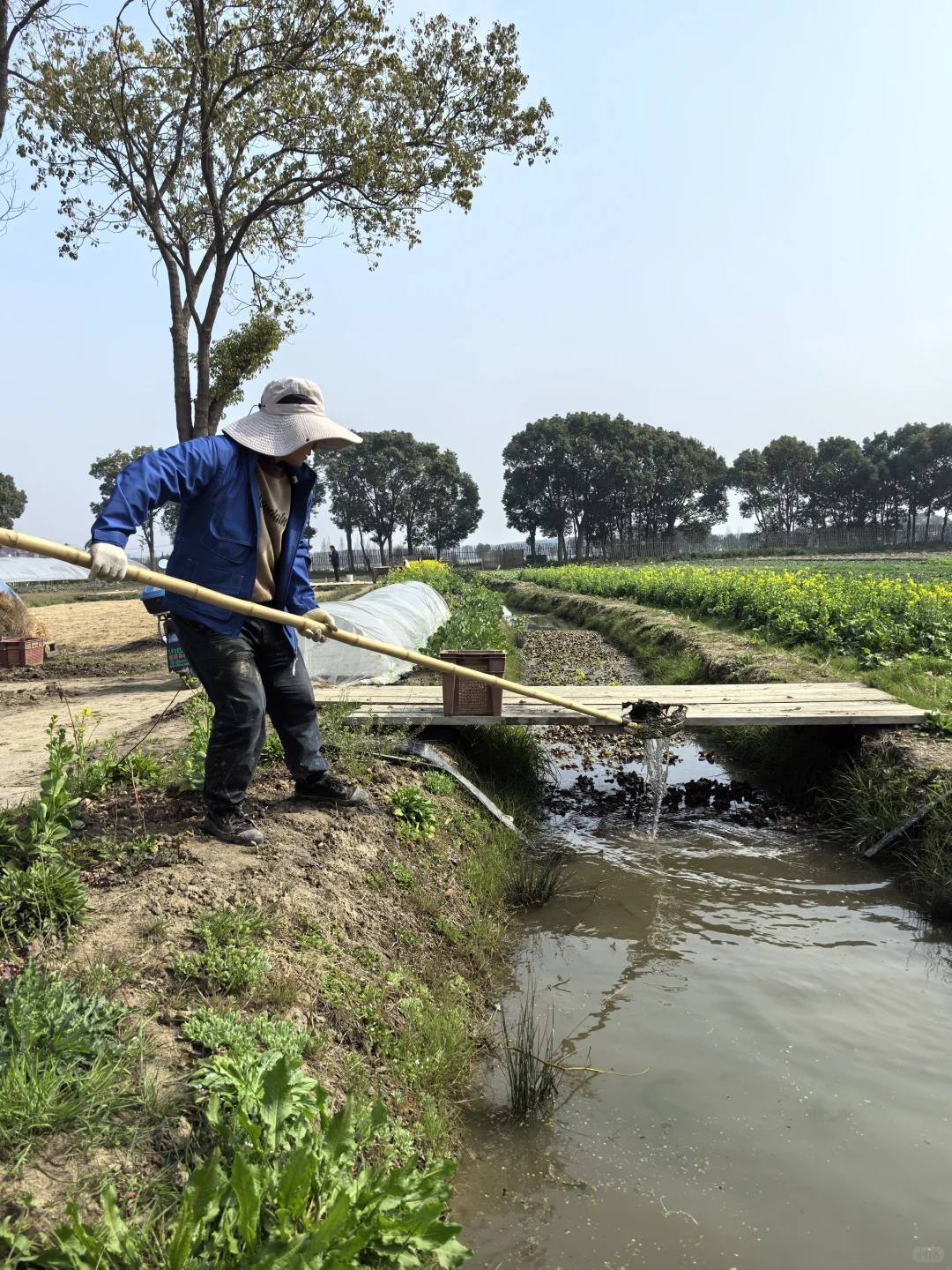 素然河道清洁日｜在池塘里捞到了鸭蛋?